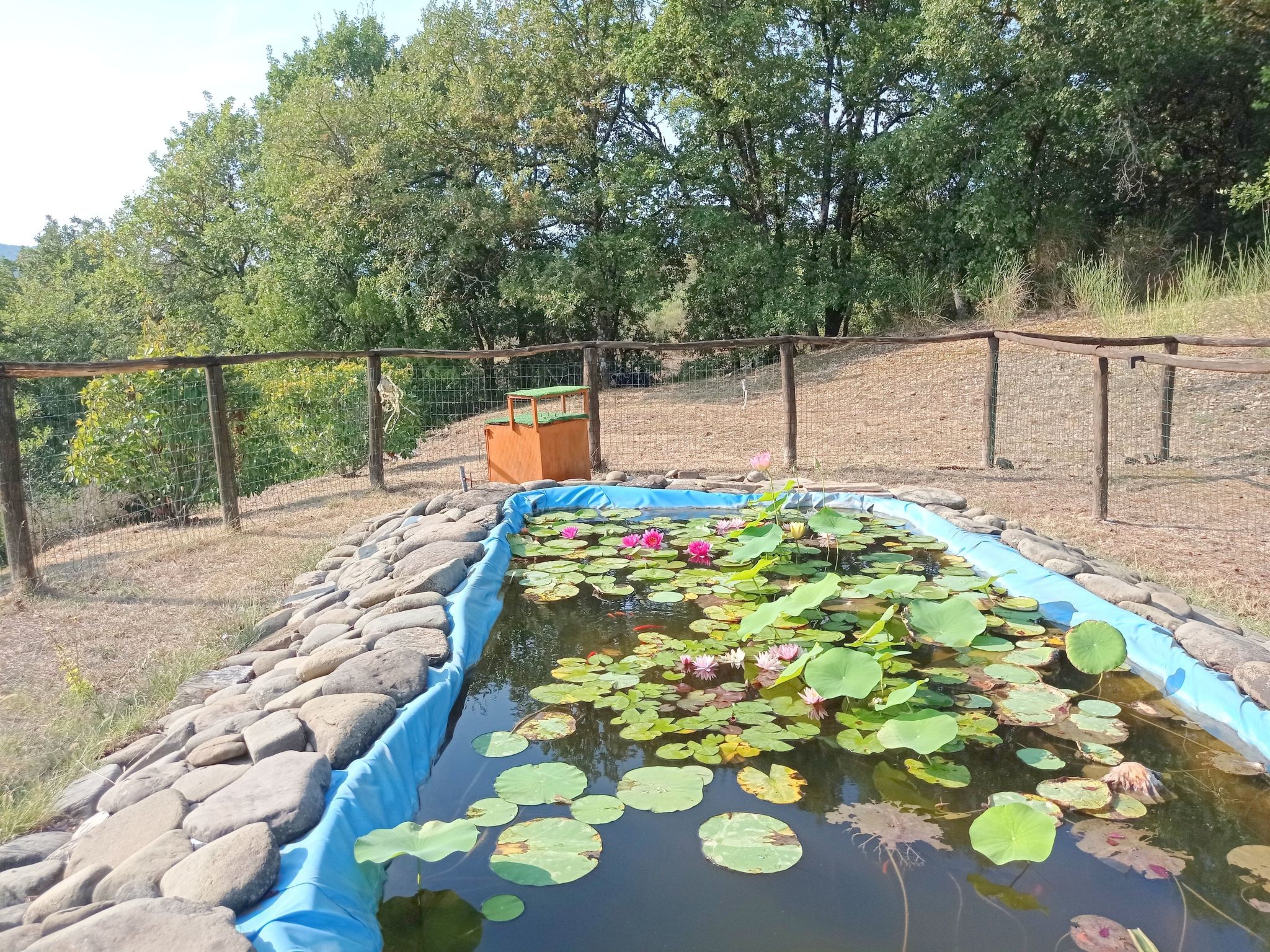 Wohnung la Mimosa-Binnen