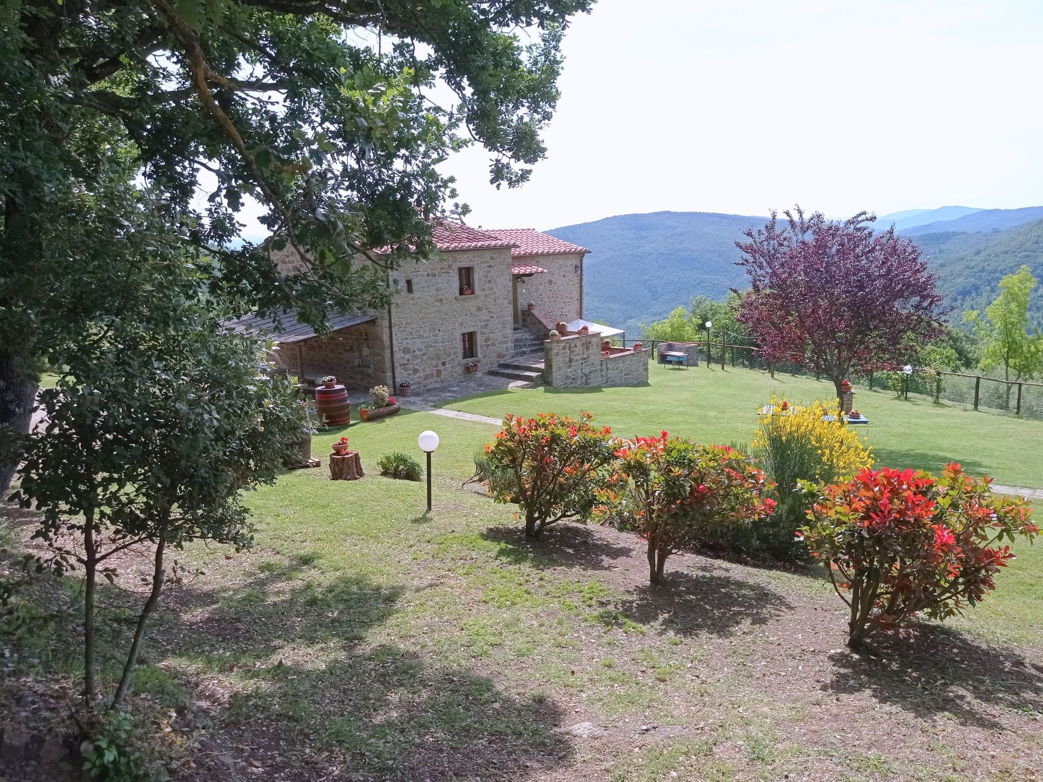 Wohnung la Mimosa-Binnen