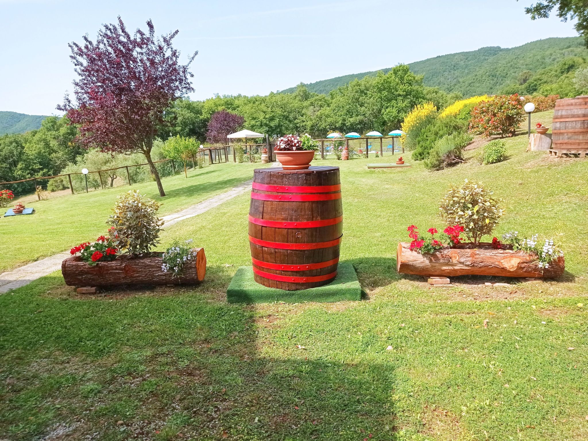 Wohnung la Mimosa-Binnen