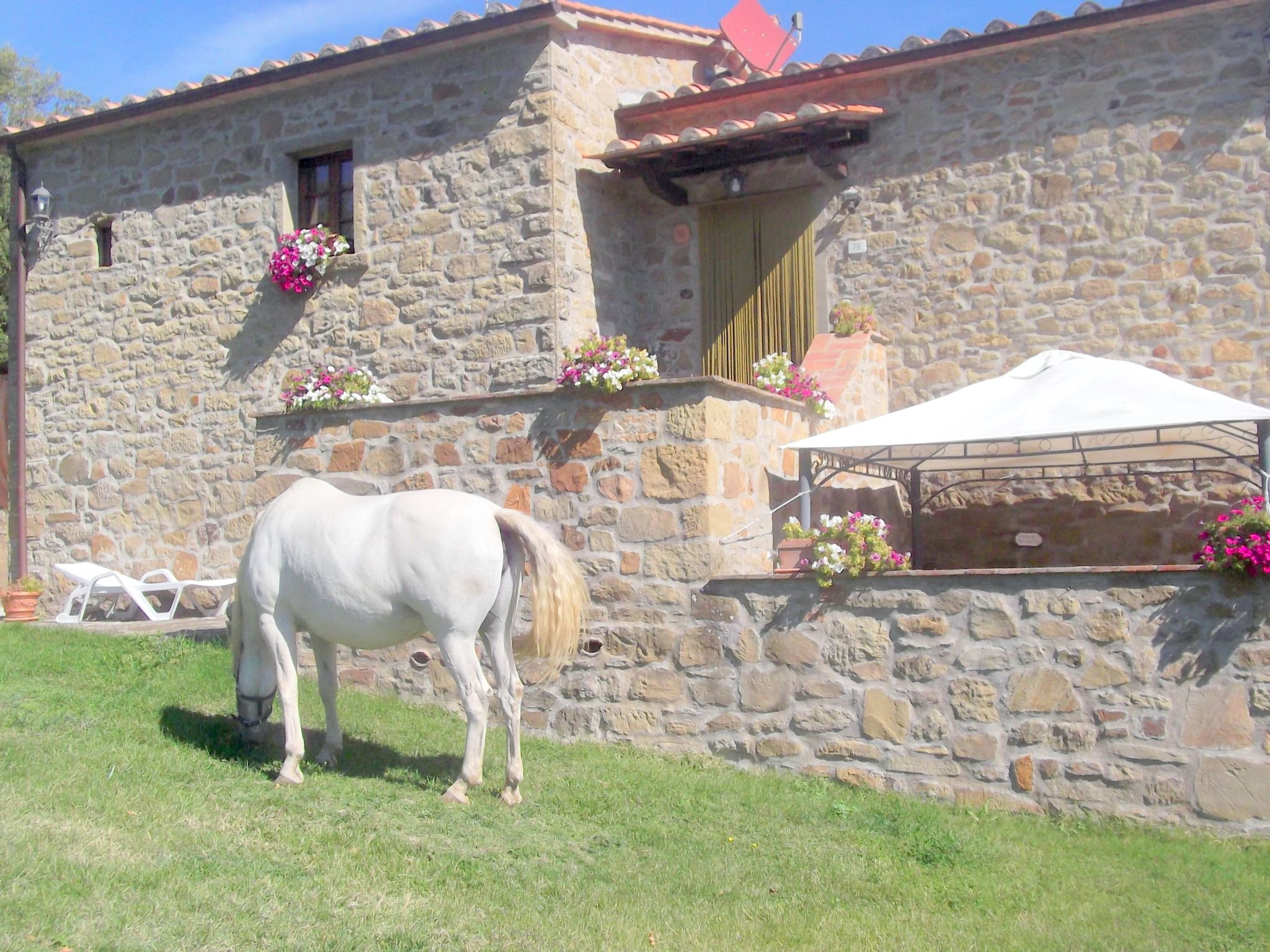 La Rosa Wohnung-Binnen