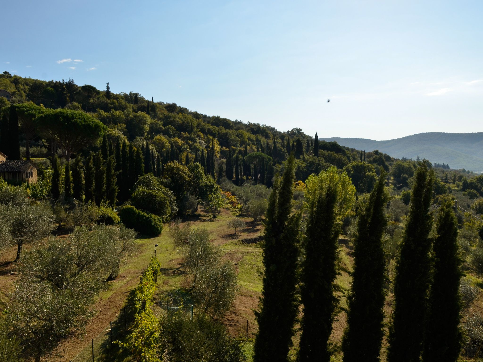 Villa Eugenio-Binnen