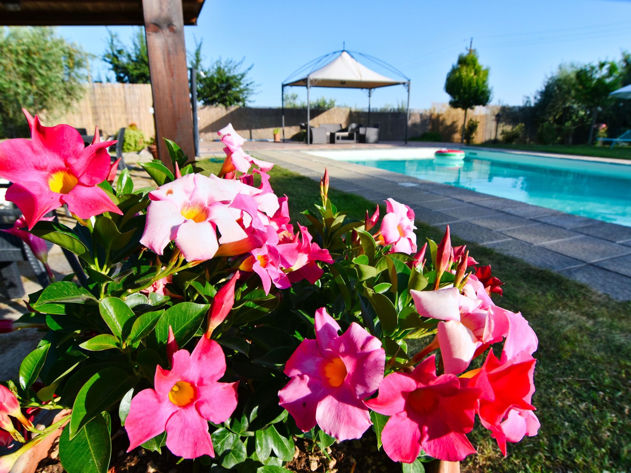 Für 20 Personen in Cortona, Trasimenischer See-Binnen