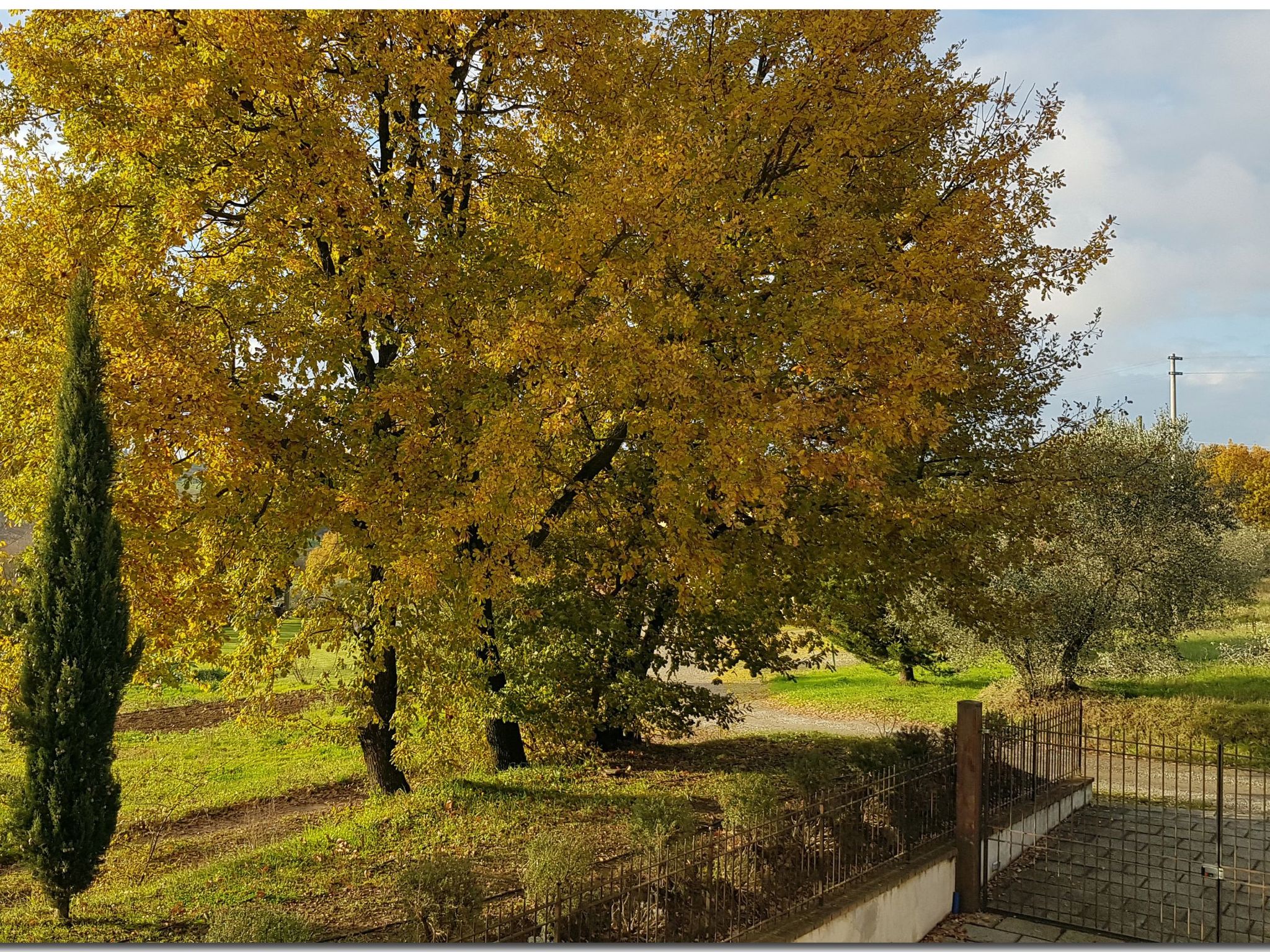 Villino Cortona - Ihre Entspannung im Herzen der Toskana.-Binnen
