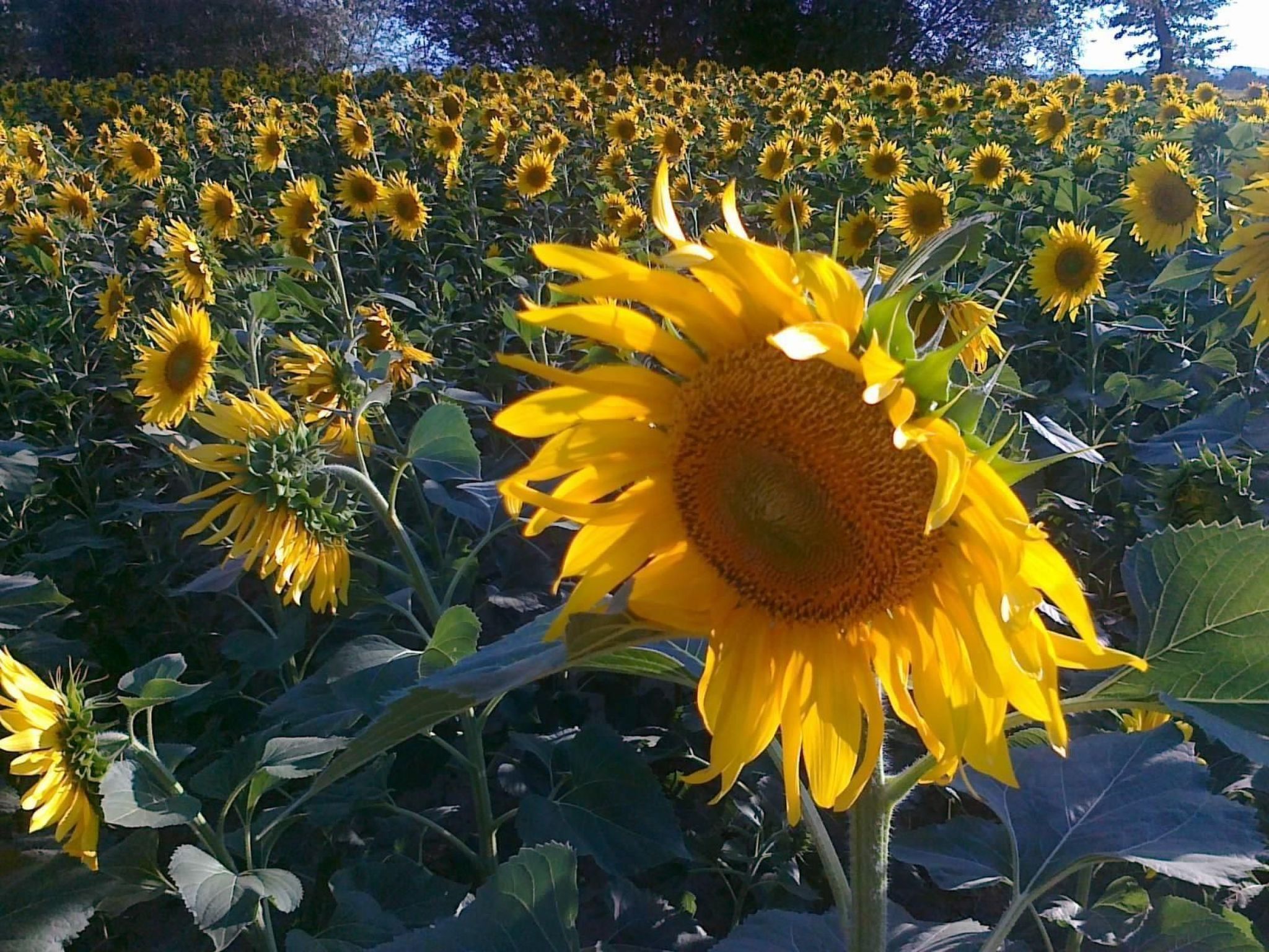 Wohnung 'Il Moro Novo' mit Gemeinschaftspool-Outside