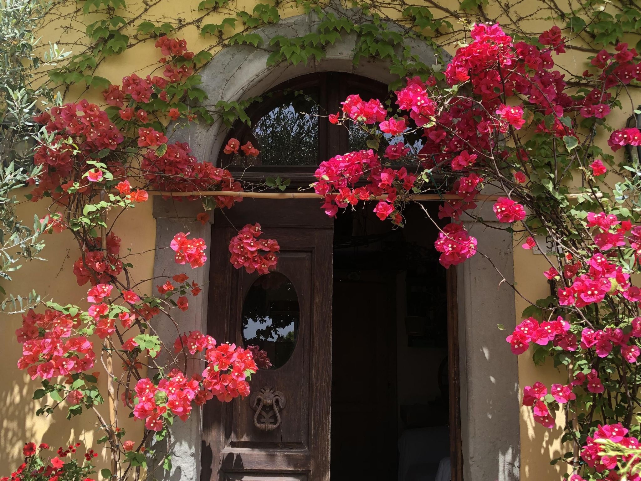 Haus in Sodo mit privatem Pool-Image-tags.info