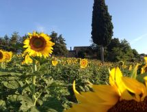 Toskana Poggio Cantarello