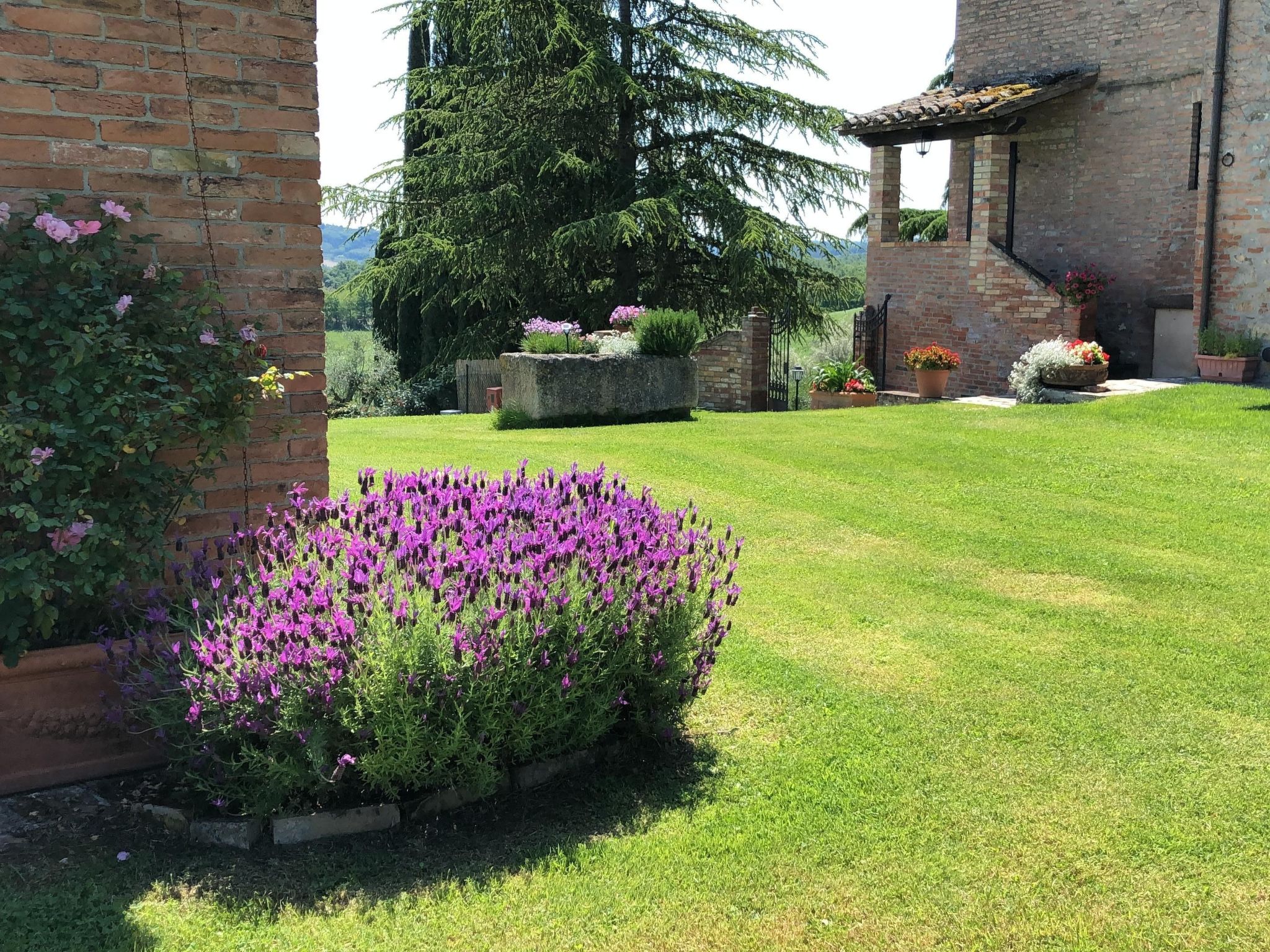 Wohnung in Chiusi mit Grill, Gemeinschaftspool und Garten-Image-tags.info