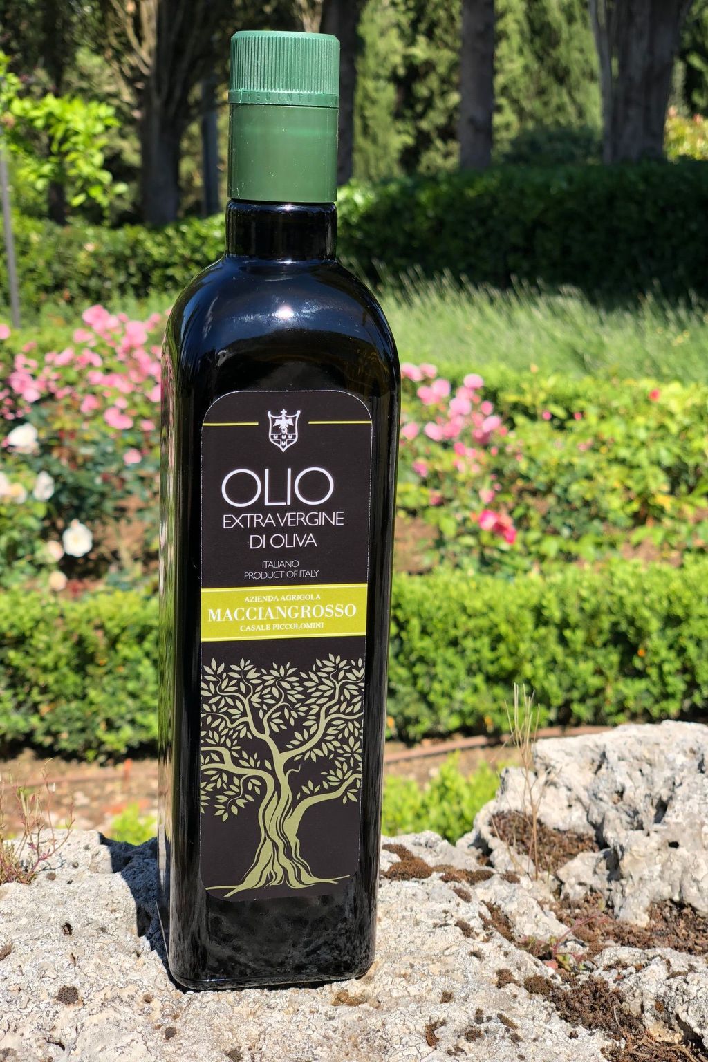 1-Schlafzimmer-Wohnung-Image-tags.info