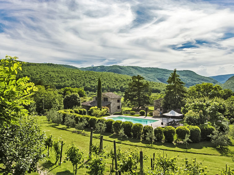 Search and Stay destination Provincia di Terni, Umbria - Italy from AU$ 417. Sunflower