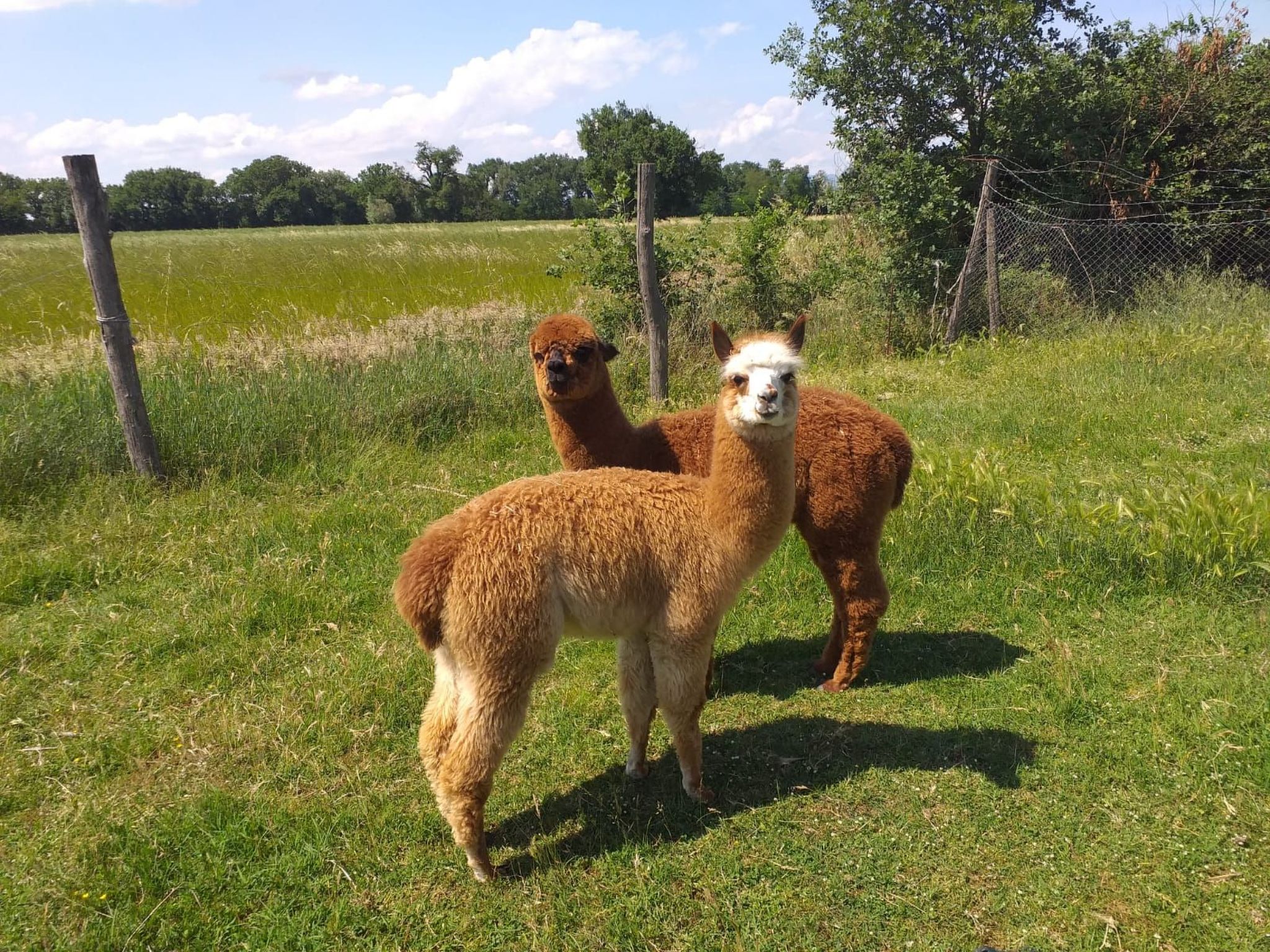 Ein Urlaub im Grünen-Binnen