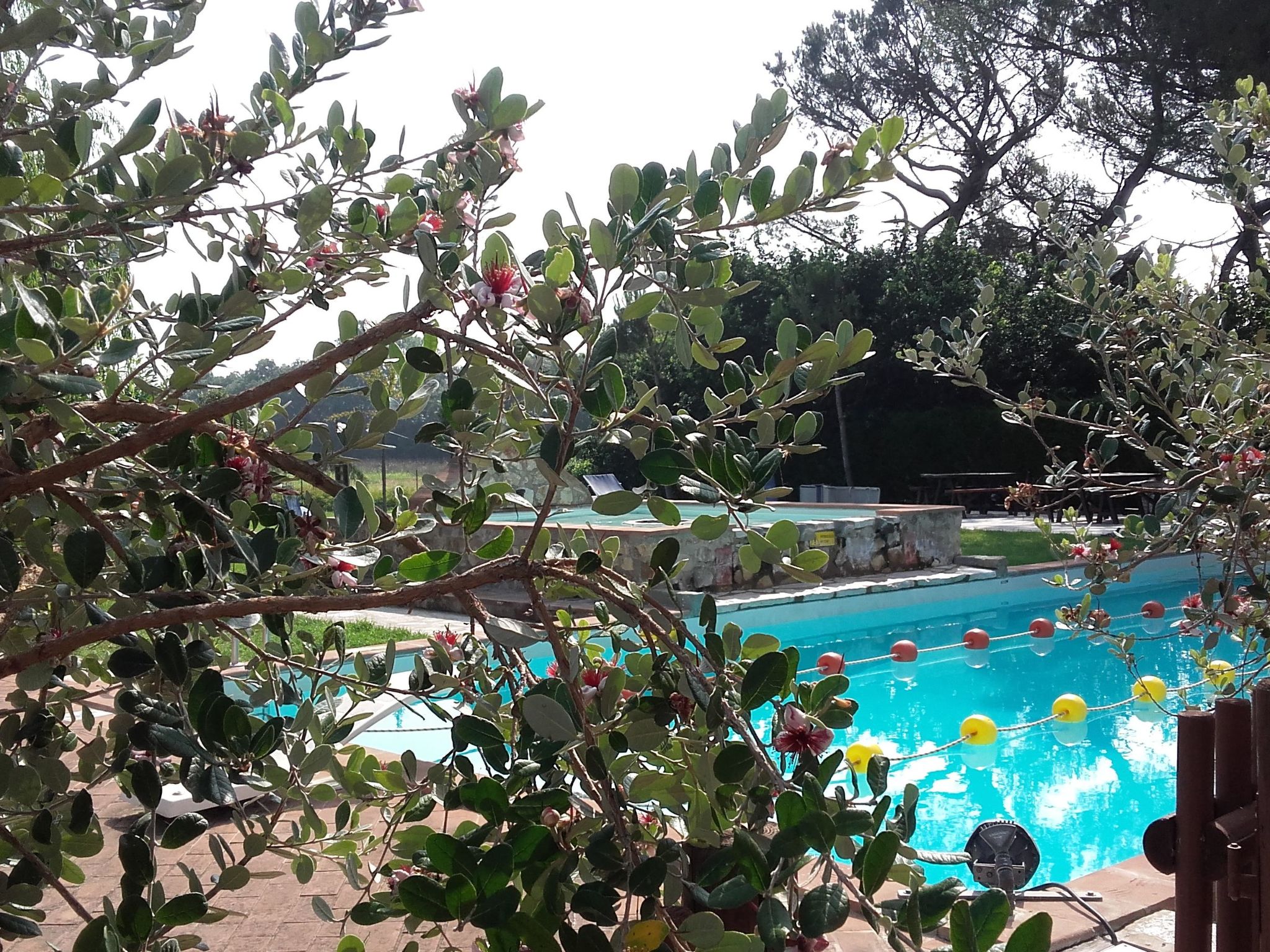 Ein Urlaub im Grünen-Binnen