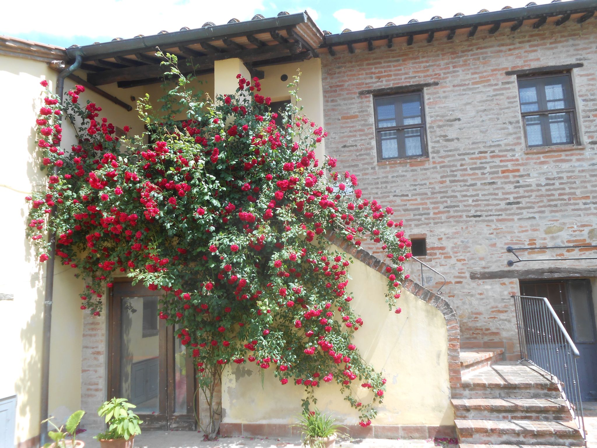 Ein Urlaub im Grünen-Binnen