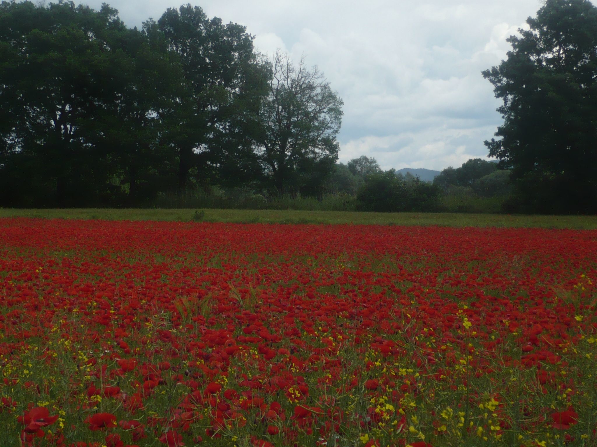 Kormoransee Ferien-Binnen