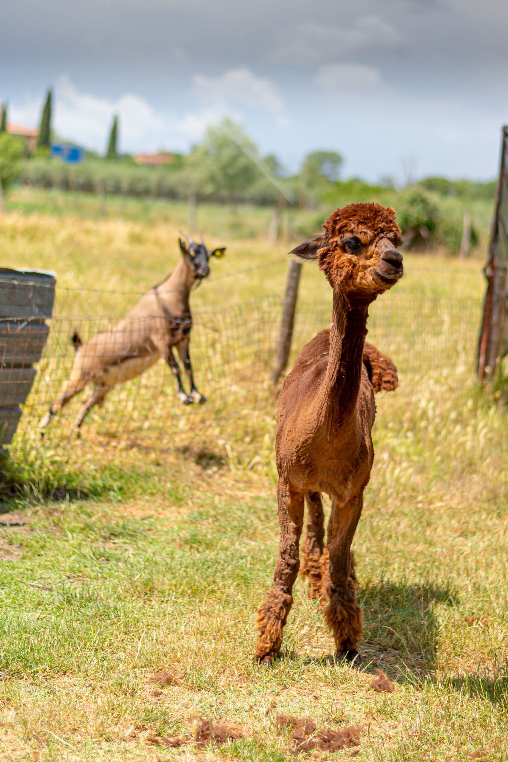Kormoransee Ferien-Binnen