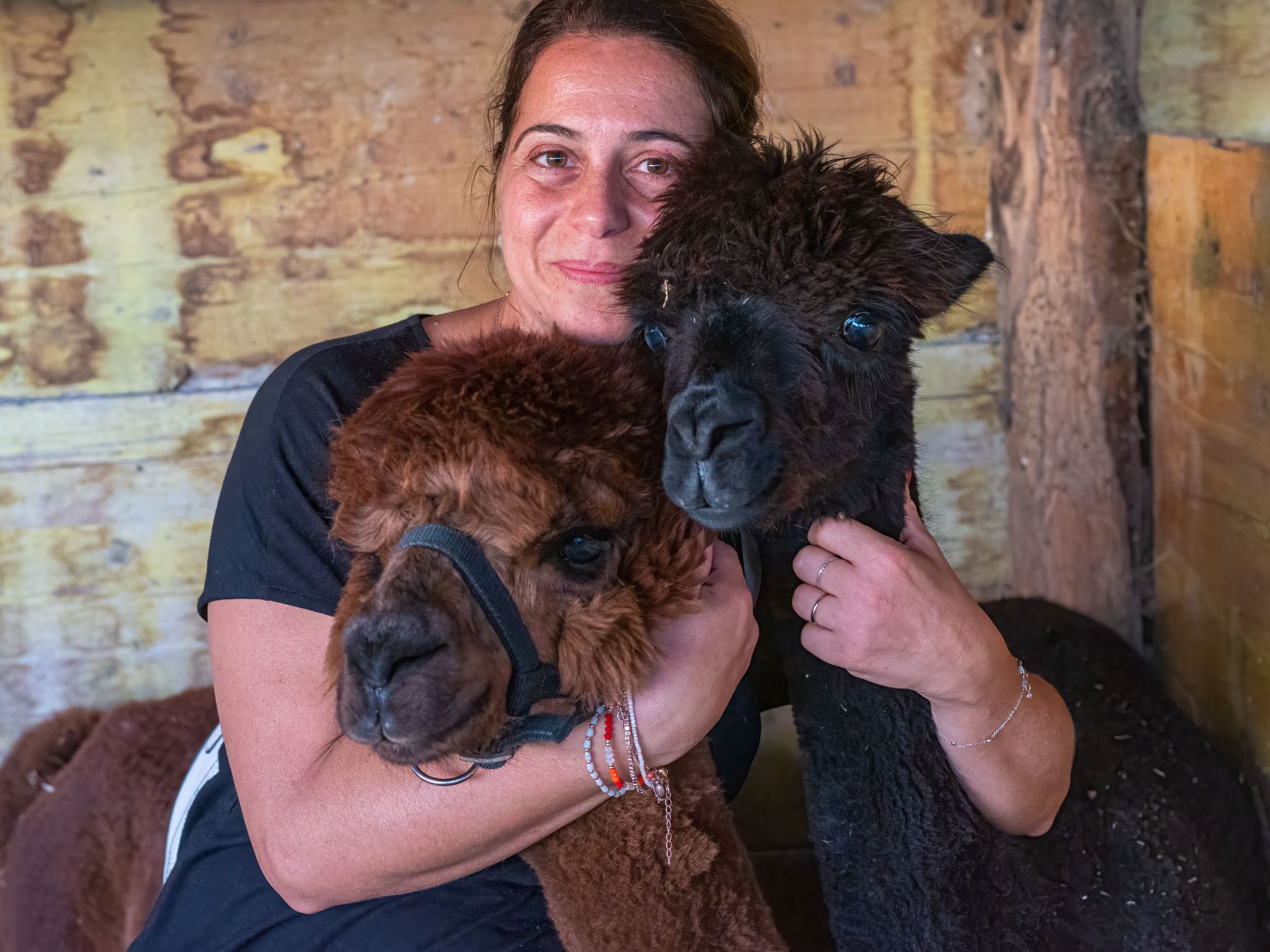 Kormoransee Ferien-Binnen