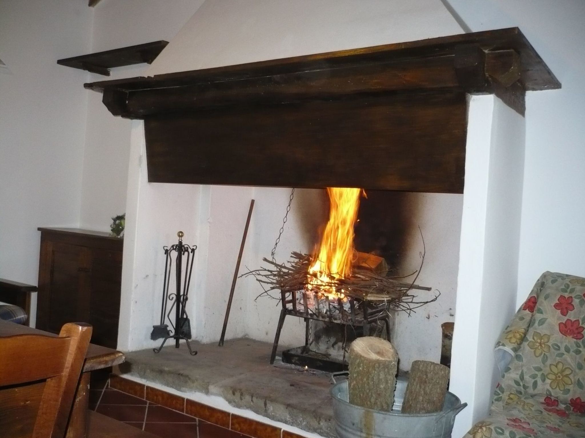 Rotreiher-Urlaub am Trasimeno-See-Binnen