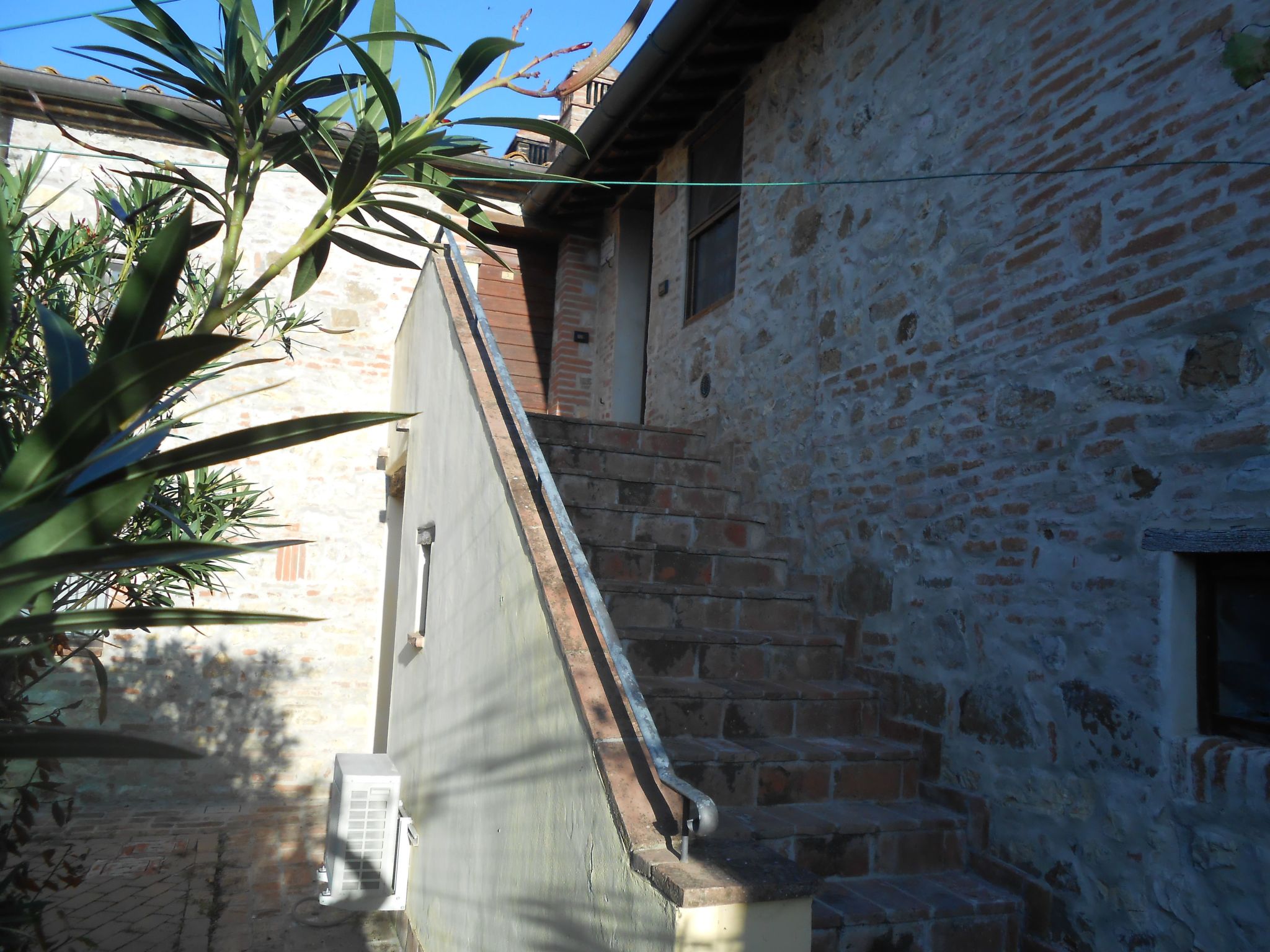 Rotreiher-Urlaub am Trasimeno-See-Binnen