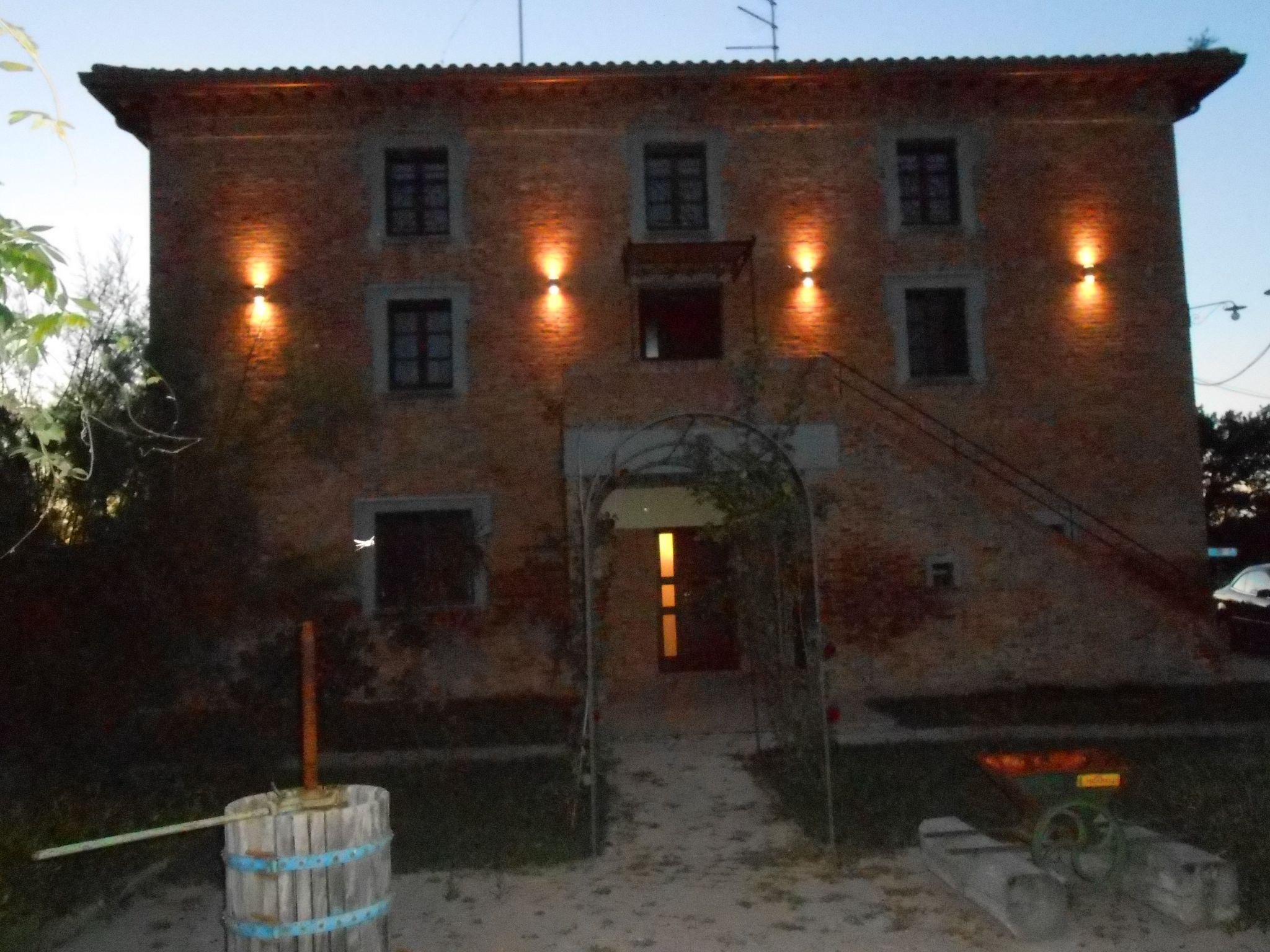 Rotreiher-Urlaub am Trasimeno-See-Binnen