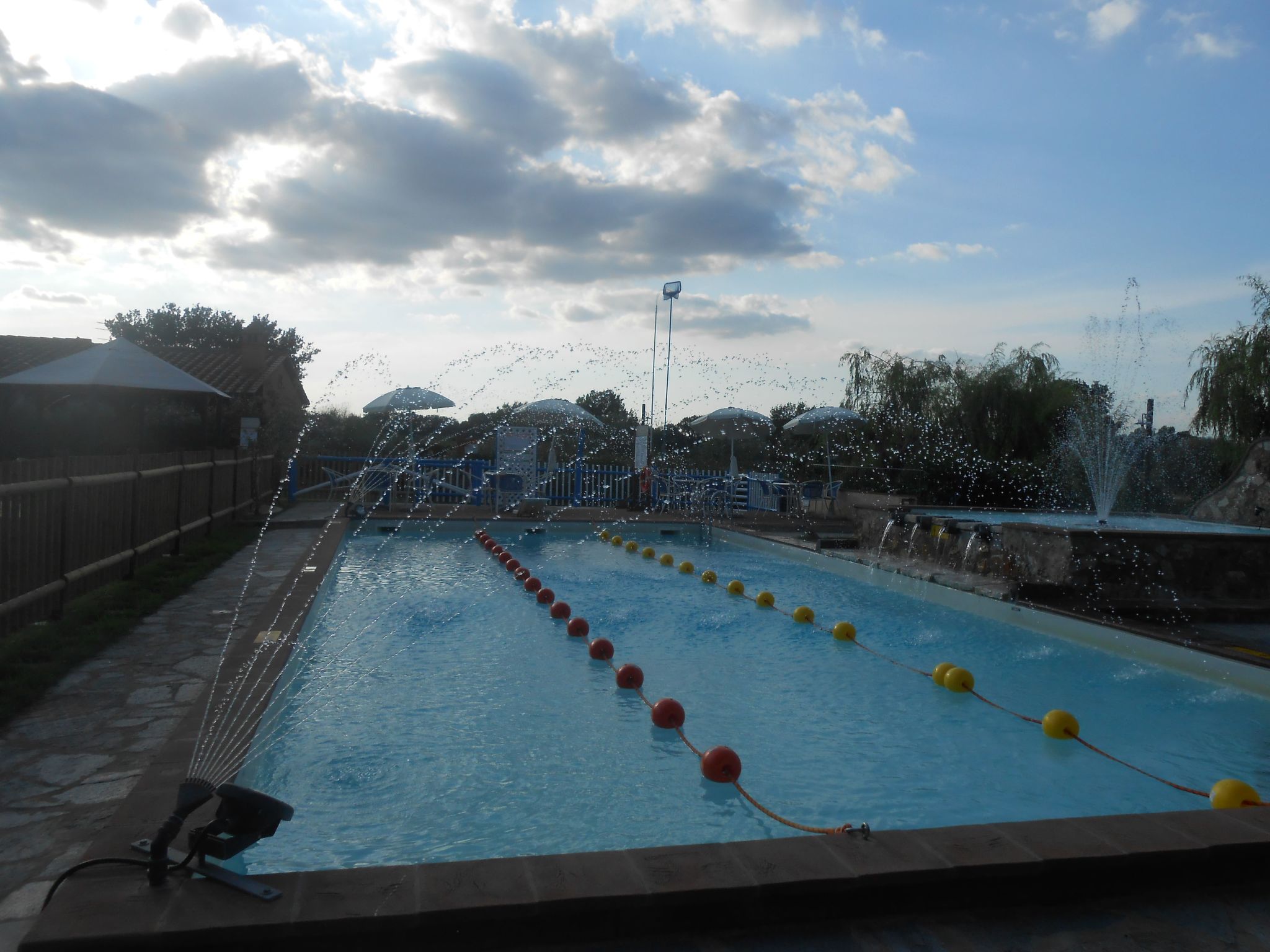 Rotreiher-Urlaub am Trasimeno-See-Binnen