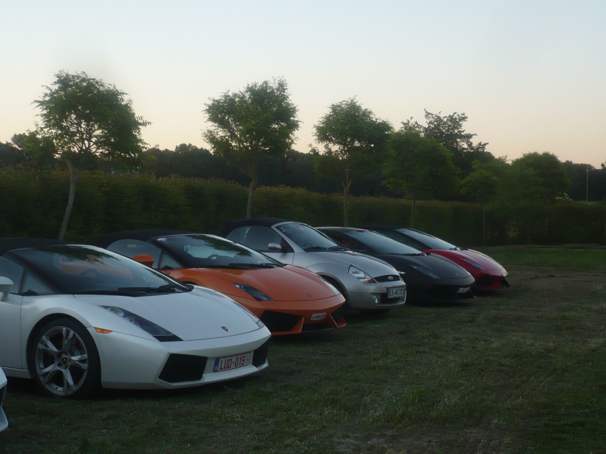 Rotreiher-Urlaub am Trasimeno-See-Binnen