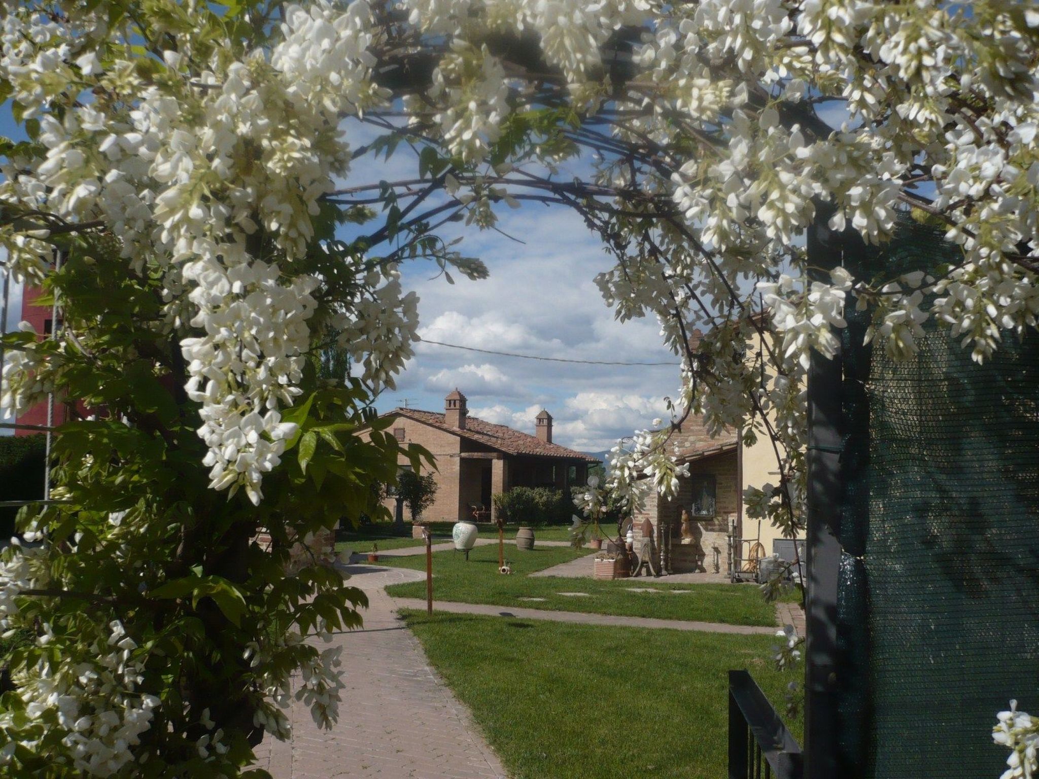 Rotreiher-Urlaub am Trasimeno-See-Binnen