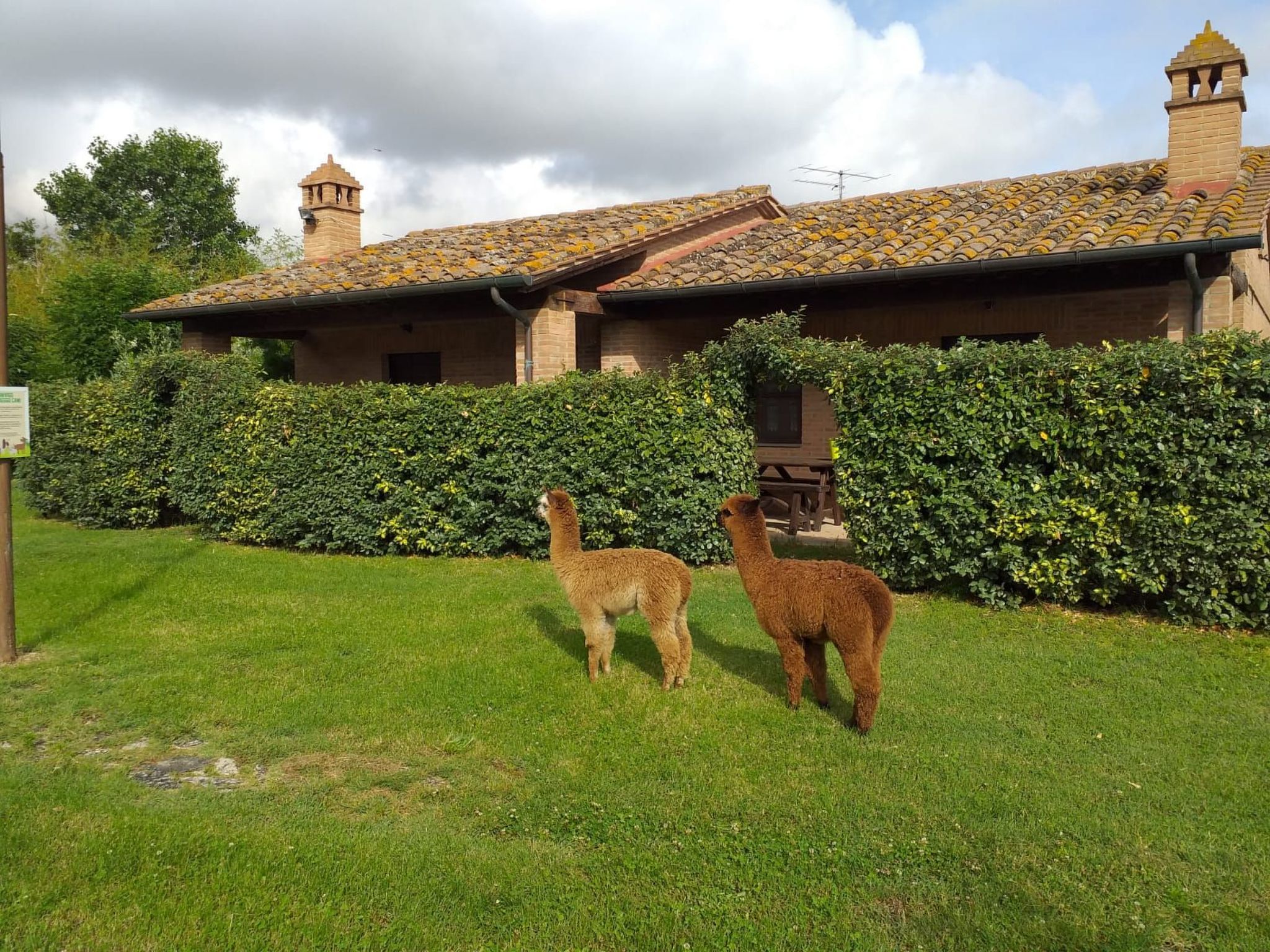 Vakantiehuis in Castiglione del Lago (Italië) 1 hond is welkom