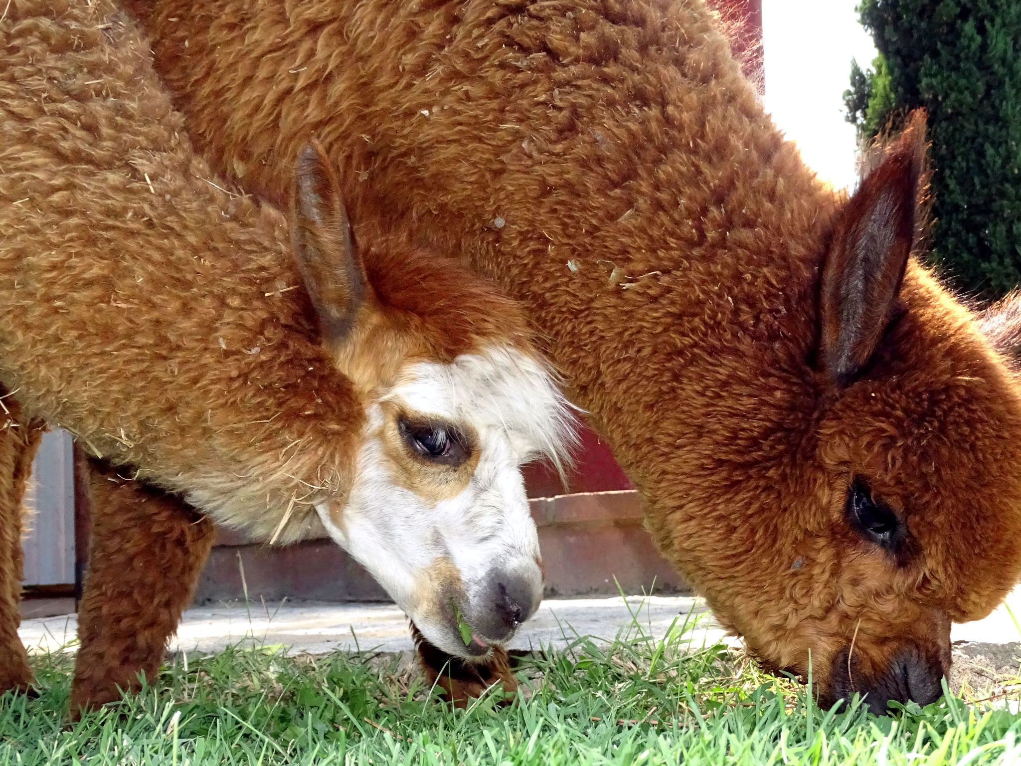 Fabelhaftes Ferienhaus 8 Betten-Binnen