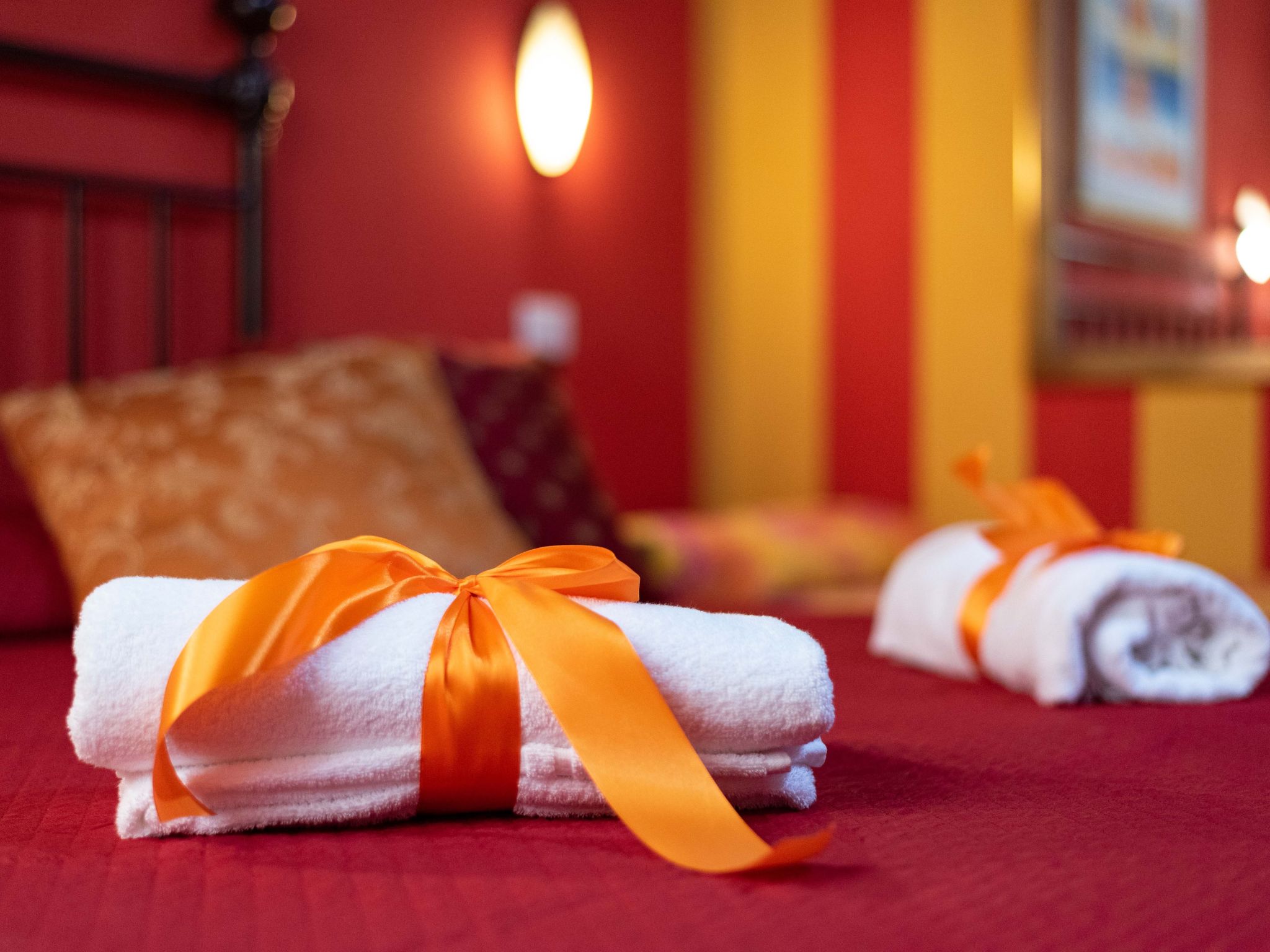 Haubentaucher-Binnen