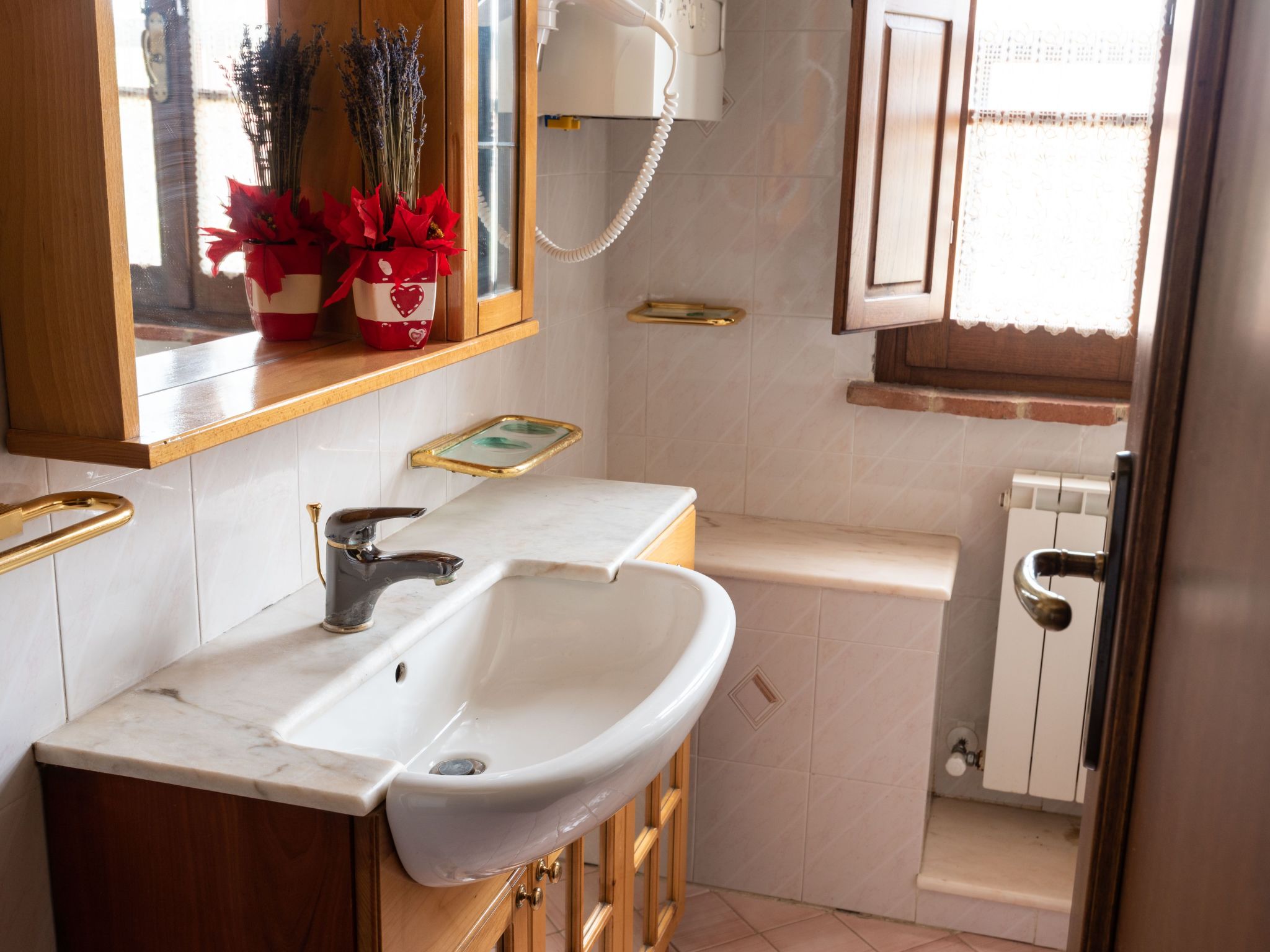 Haubentaucher-Binnen