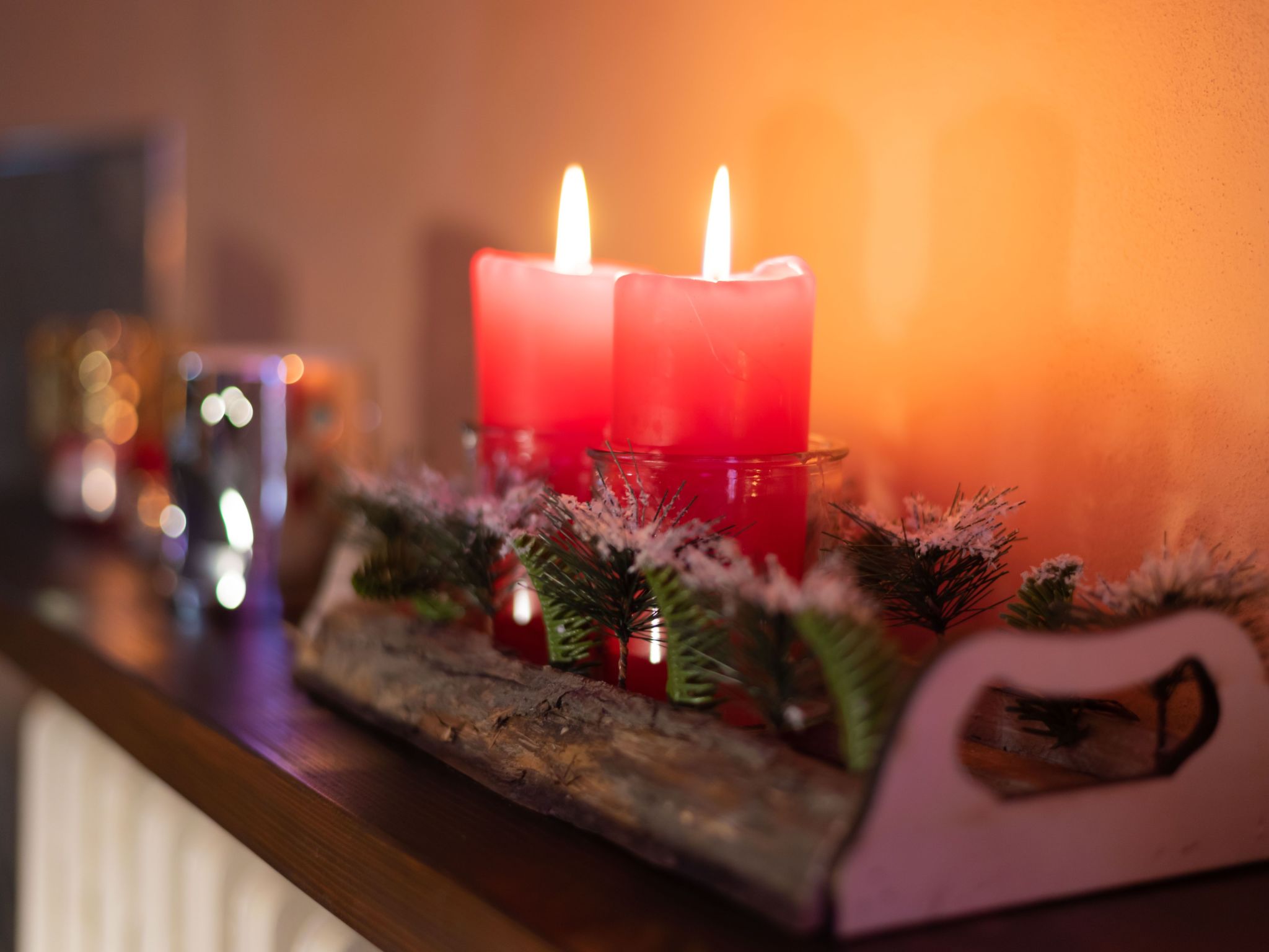 Haubentaucher-Binnen