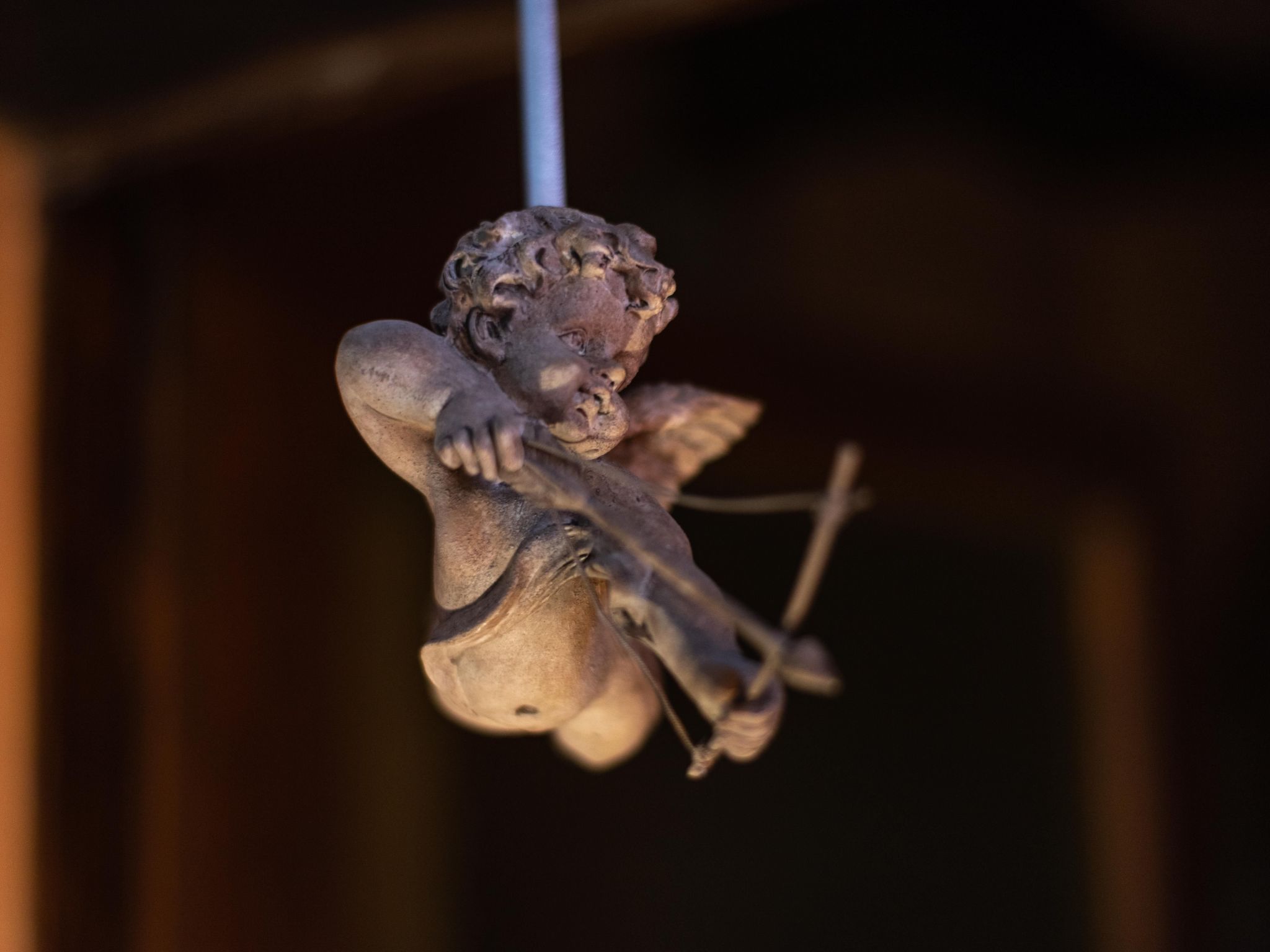 Haubentaucher-Binnen