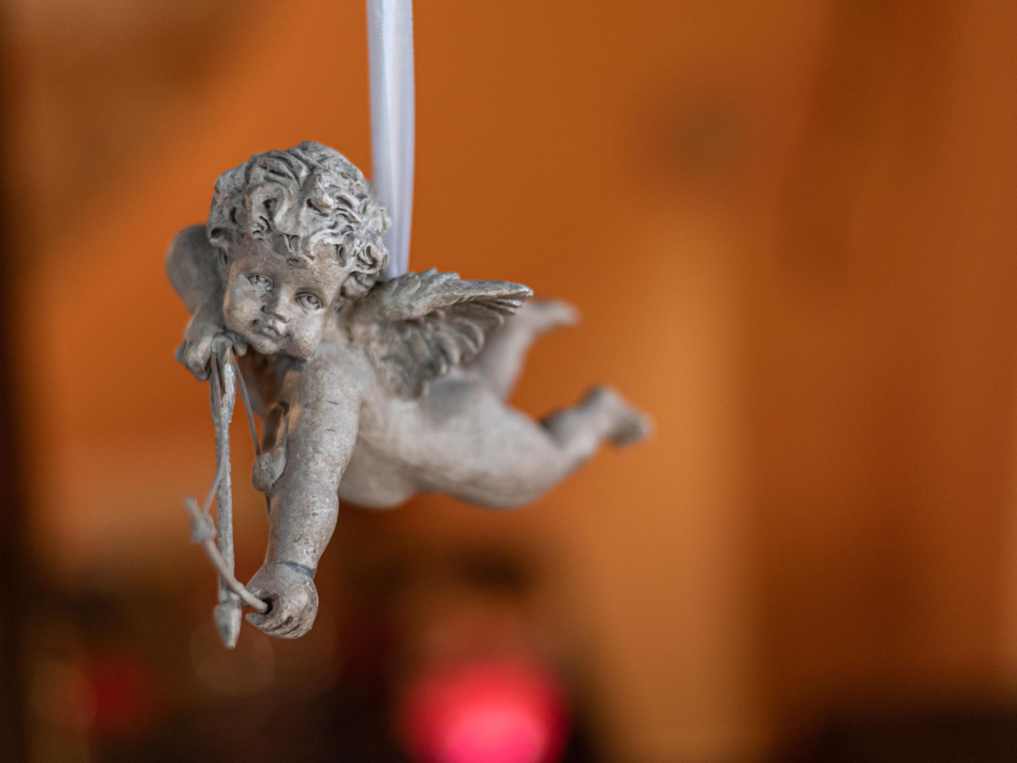 Haubentaucher-Binnen