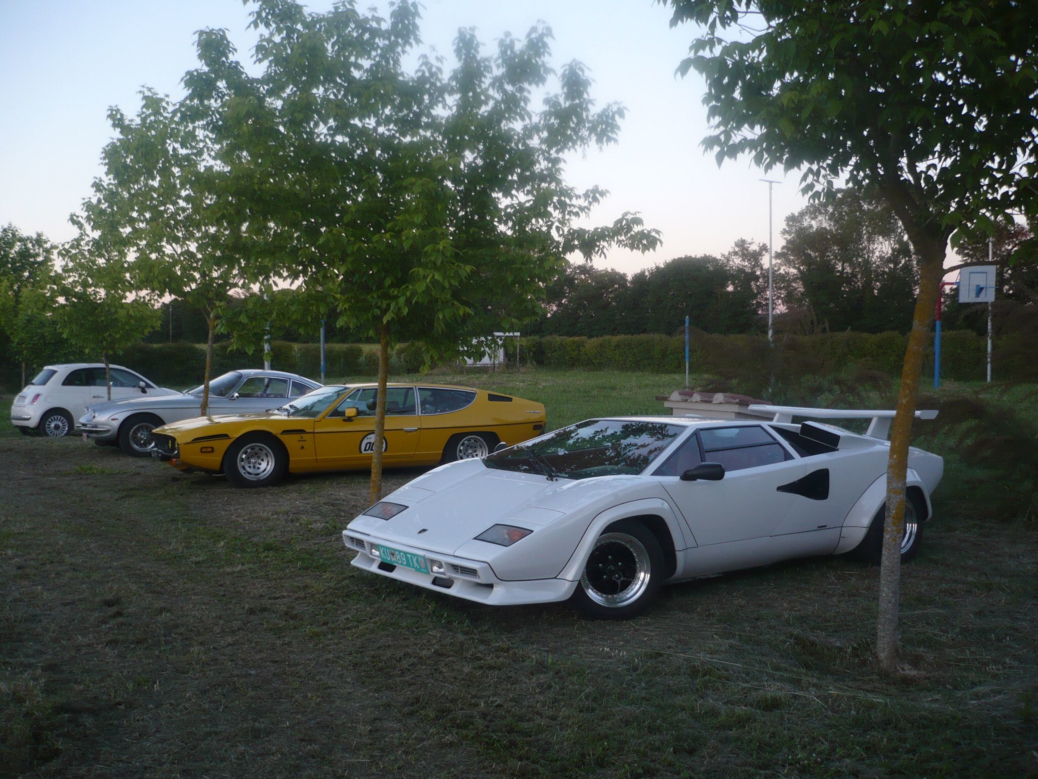 Haubentaucher-Binnen