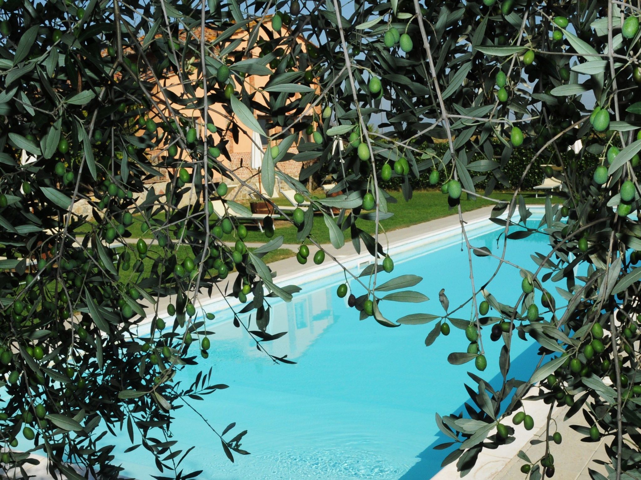 Wohnung in Castiglione Del Lago mit Terrasse, Garten und Grill-Outside