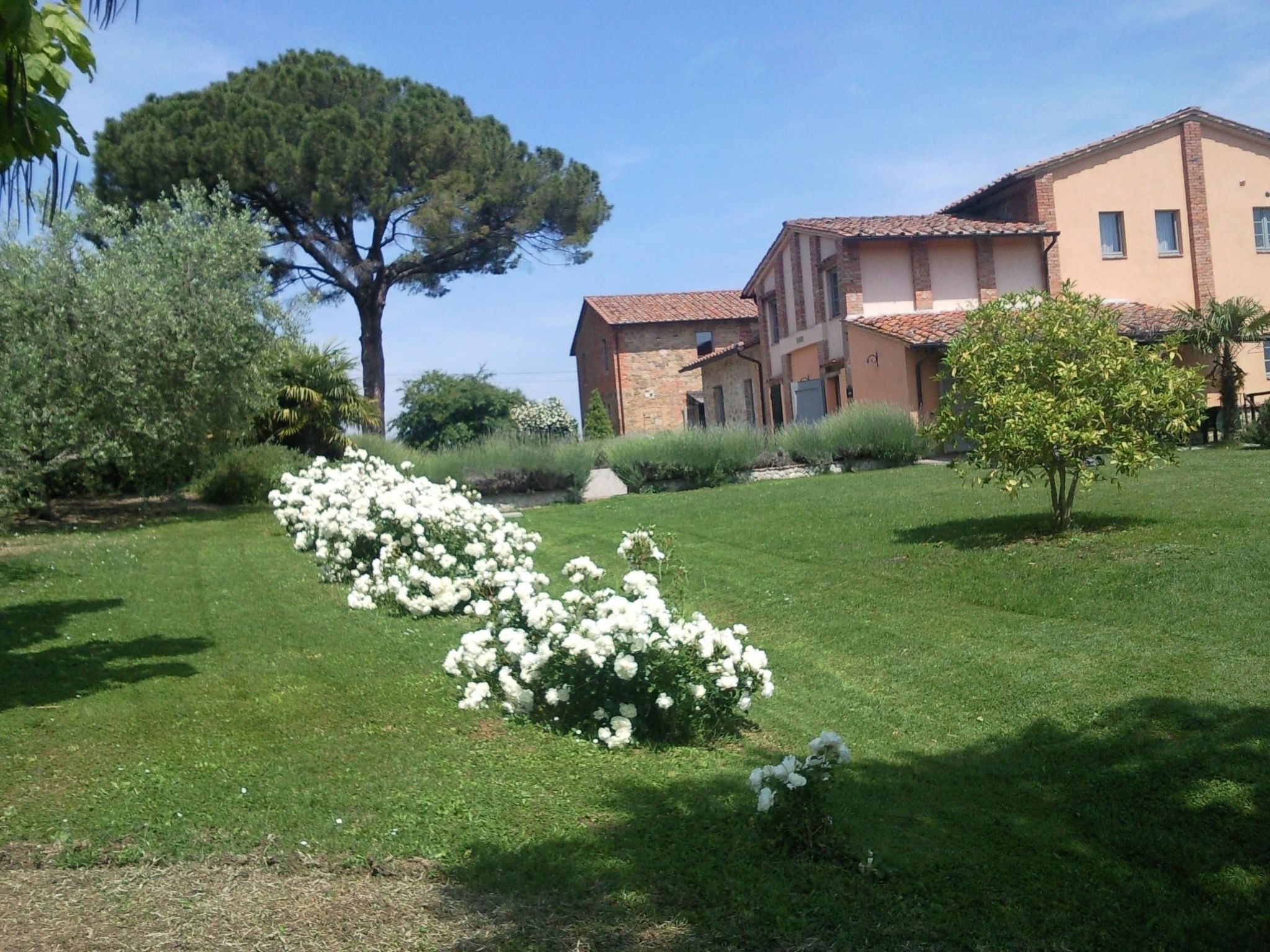 Appartement in Castiglione Del Lago mit Terrasse, gemeinsamem Pool und Garten-Outside