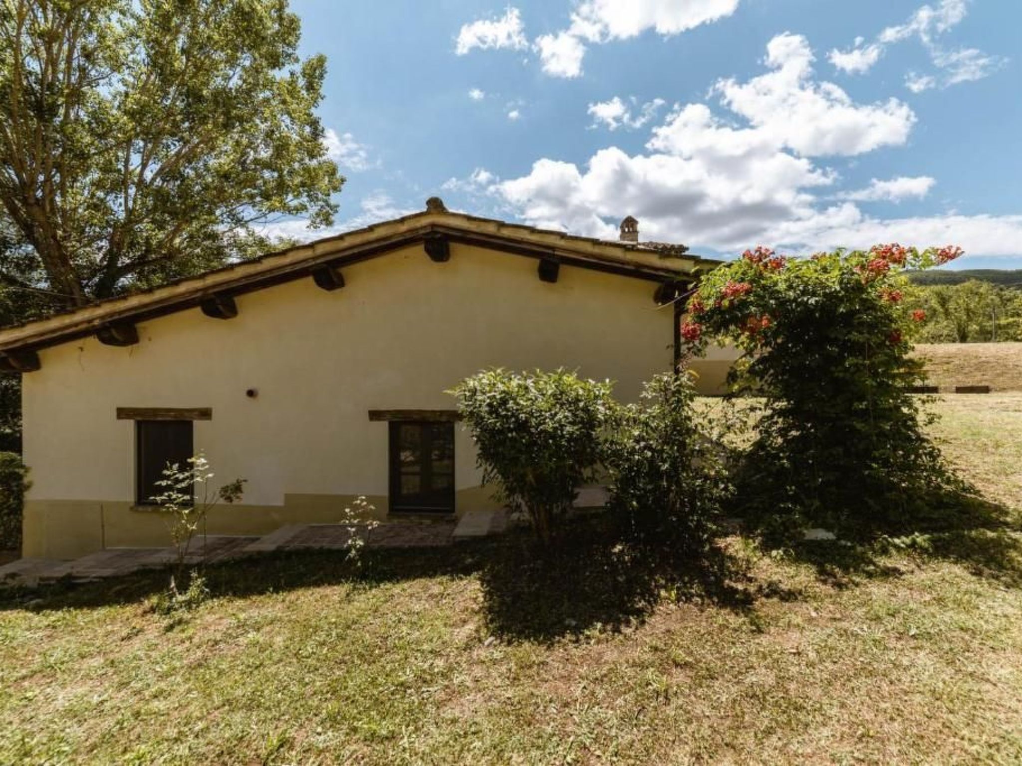 Le Radici - Olivo - Entspannen im Herzen von Umbrien-Image-tags.info