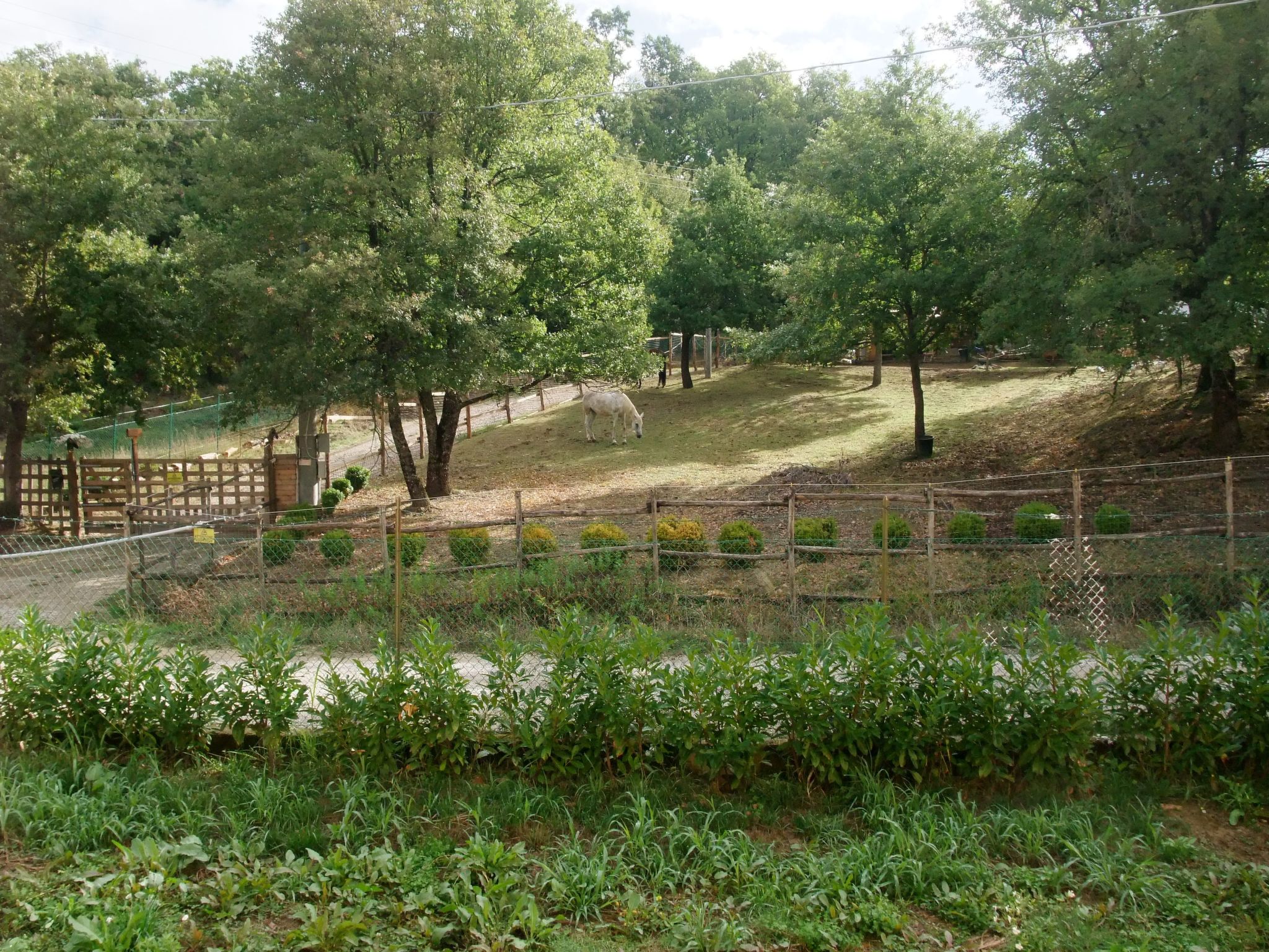Freistehendes Haus mit Garten zur alleinigen Nutzung-Binnen