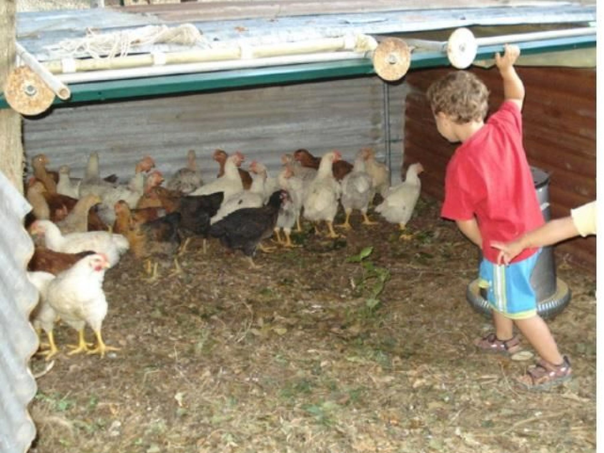 Il Fienile in Umbertide-Binnen