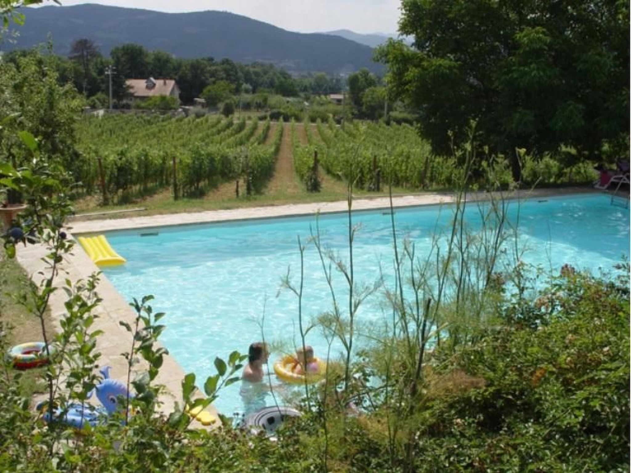 Agritourismus Vigne di Pace - Il Molino-Binnen