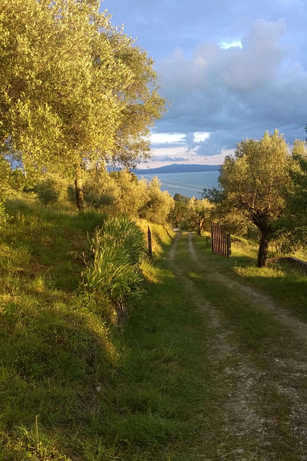 Renovierte Wohnung-Binnen