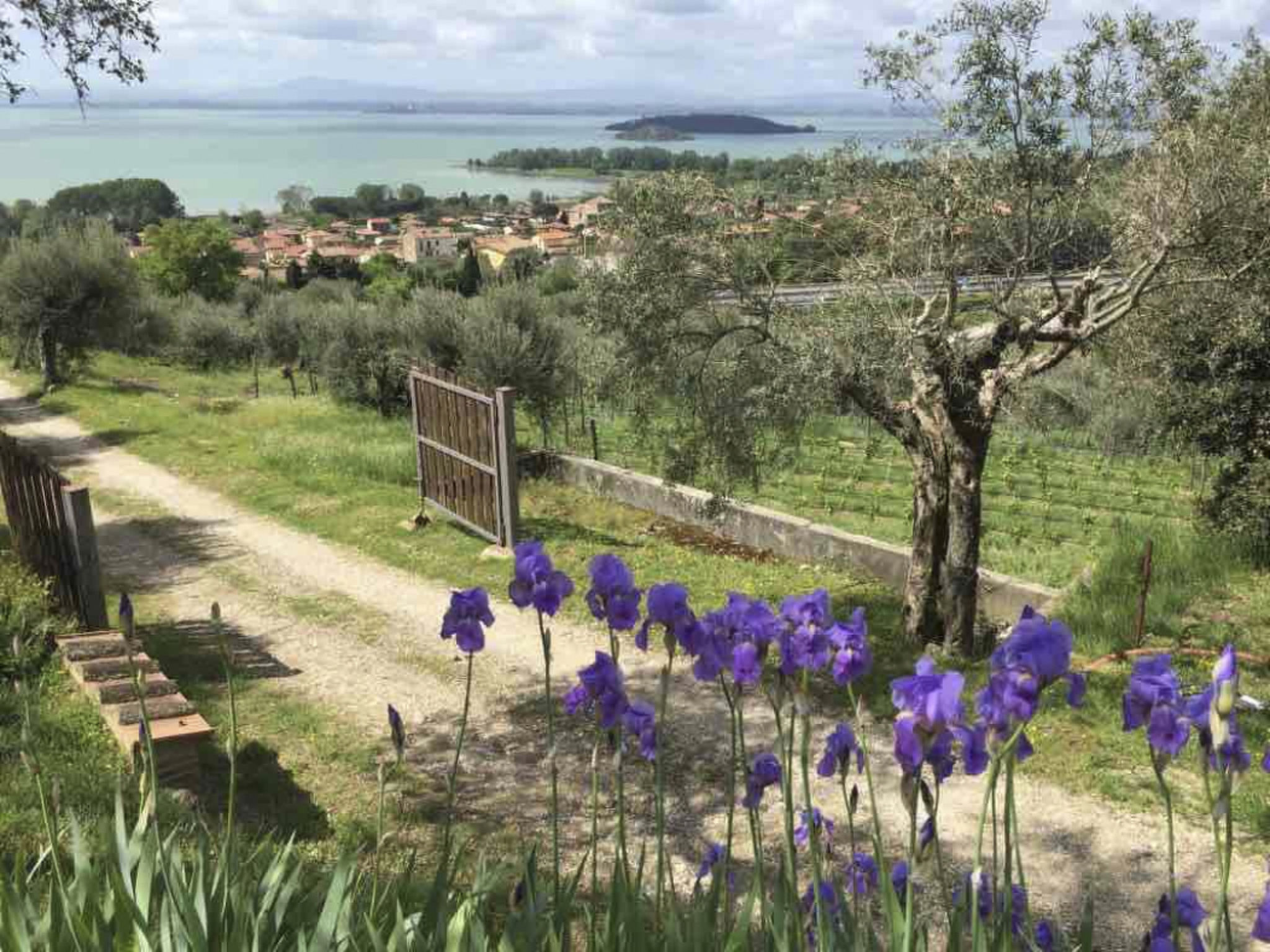 Renovierte Wohnung-Binnen
