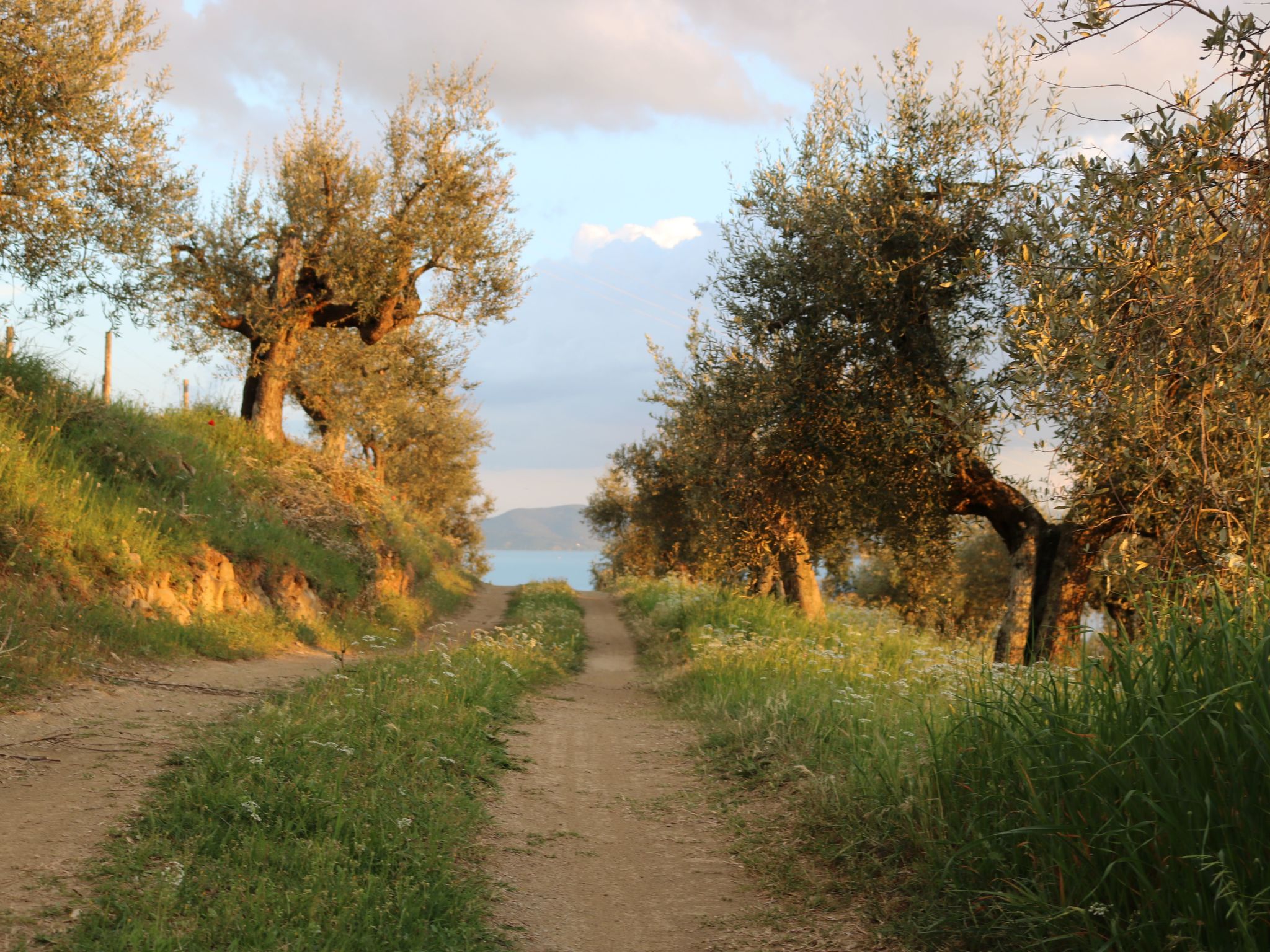 Renovierte Wohnung-Binnen