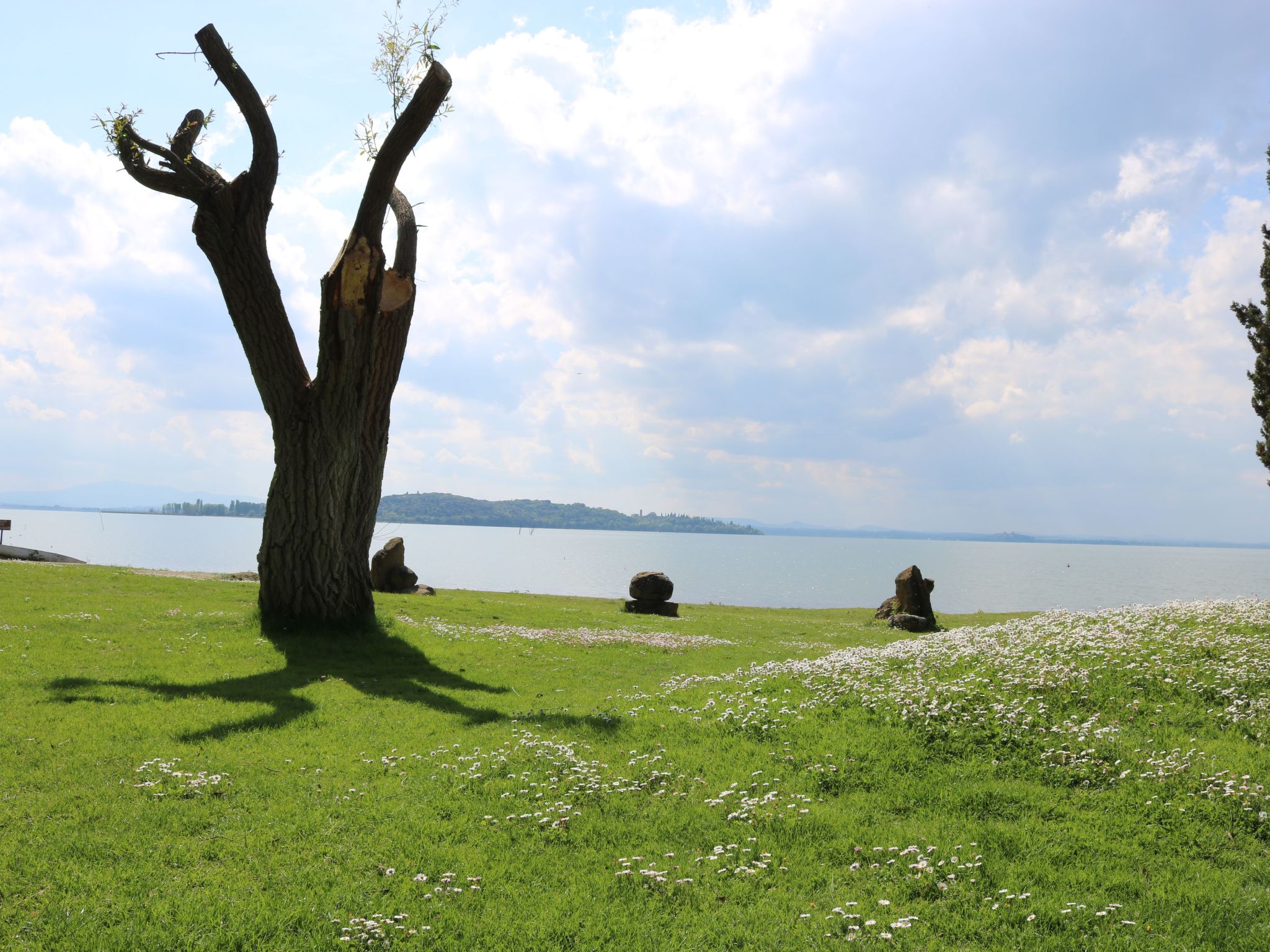 Renovierte Wohnung-Binnen