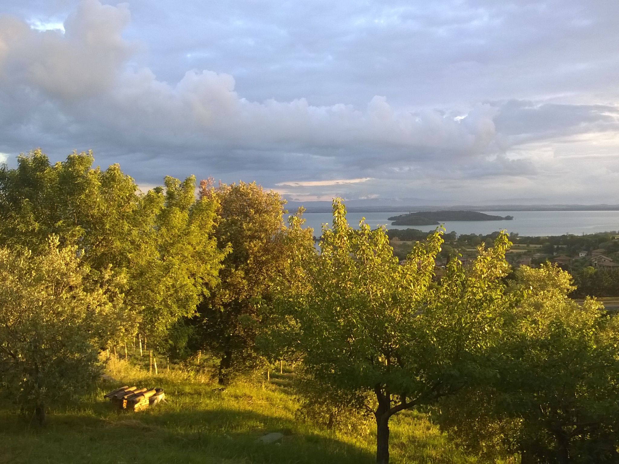 Renovierte Wohnung-Binnen