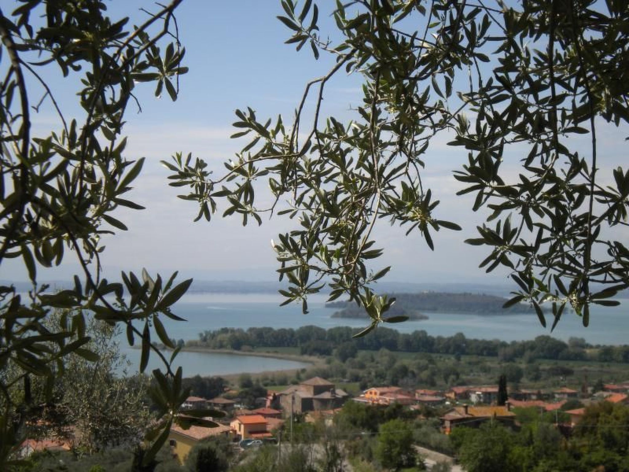Renovierte Wohnung-Binnen