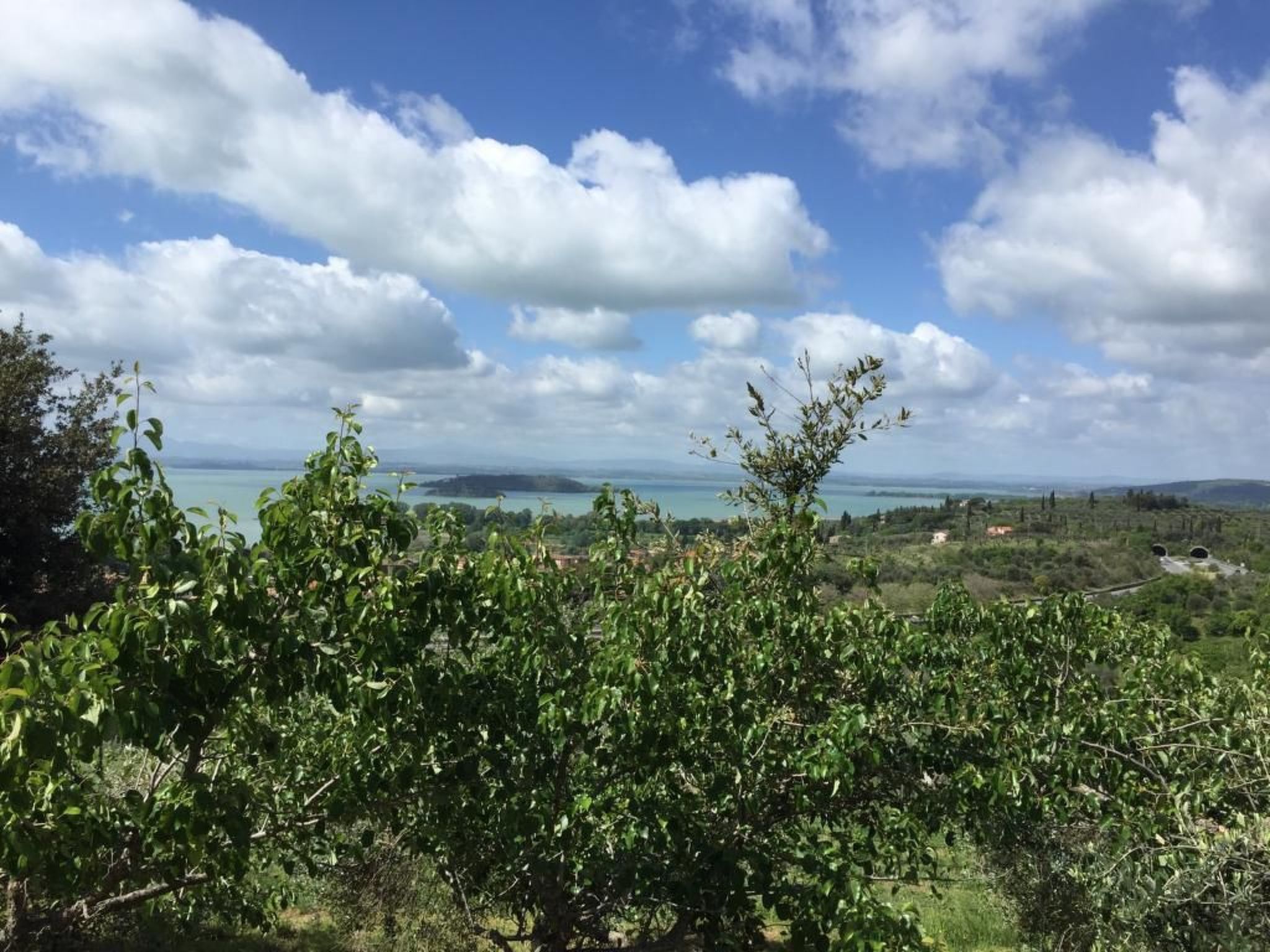 Renovierte Wohnung-Binnen