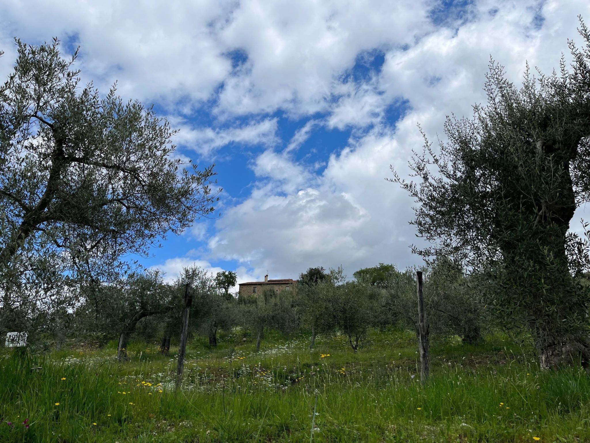 Renovierte Wohnung-Binnen