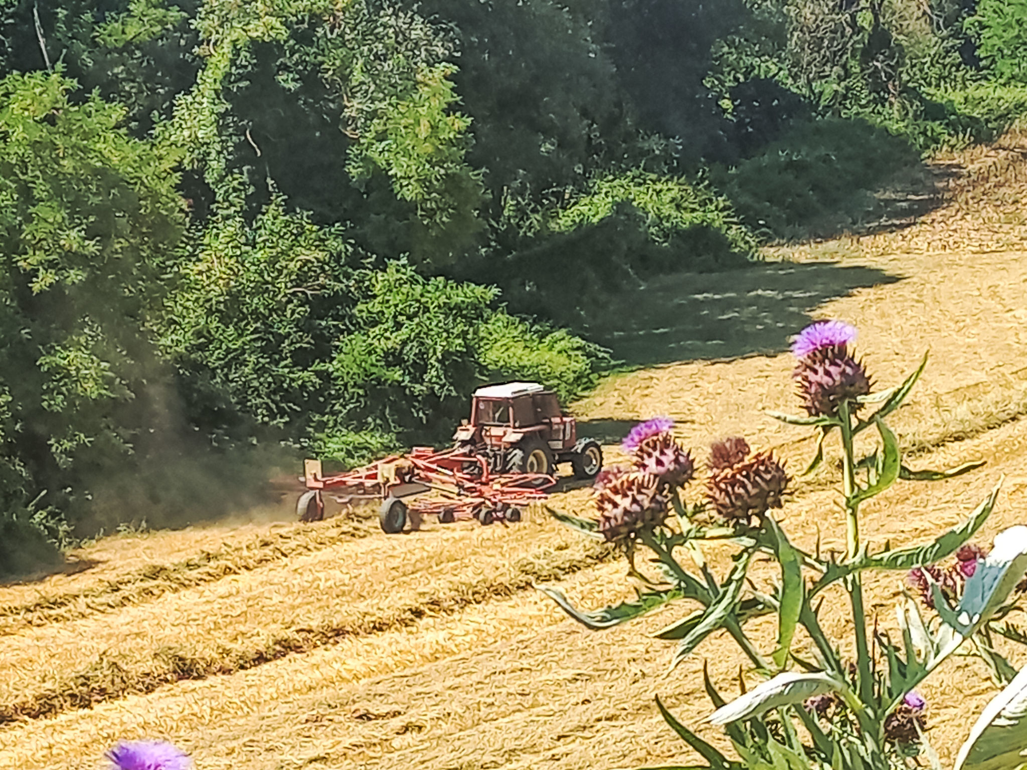 Rustikale Eleganz mit Blick auf die umbrische Landschaft