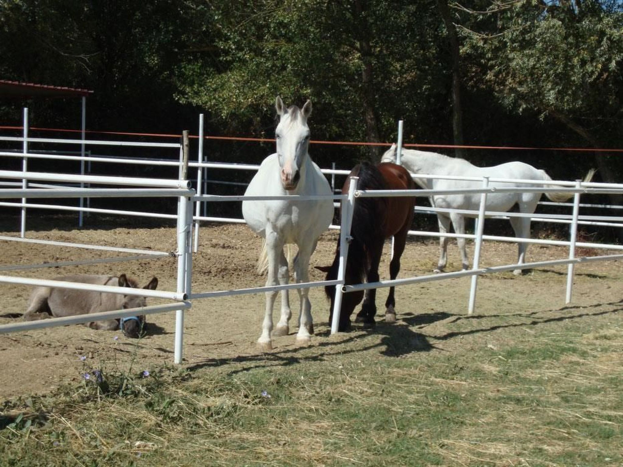 'La Stalla' mit Terrasse-Image-tags.info