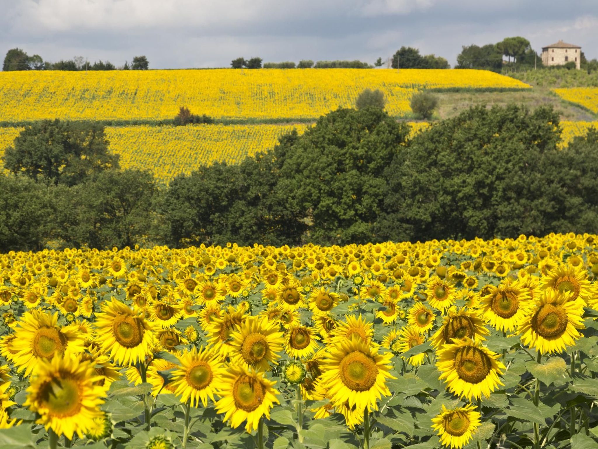 Wohnung 'La porcilaia' mit Privatparkplatz